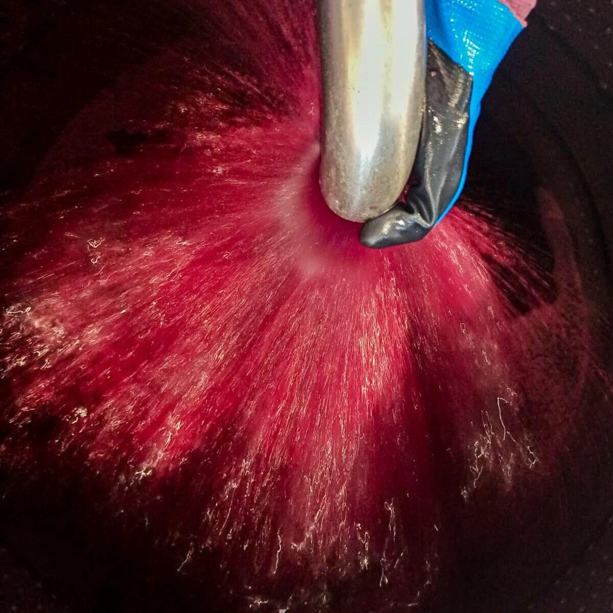 Quevedo – Visita & Prova Seleção DOC Douro