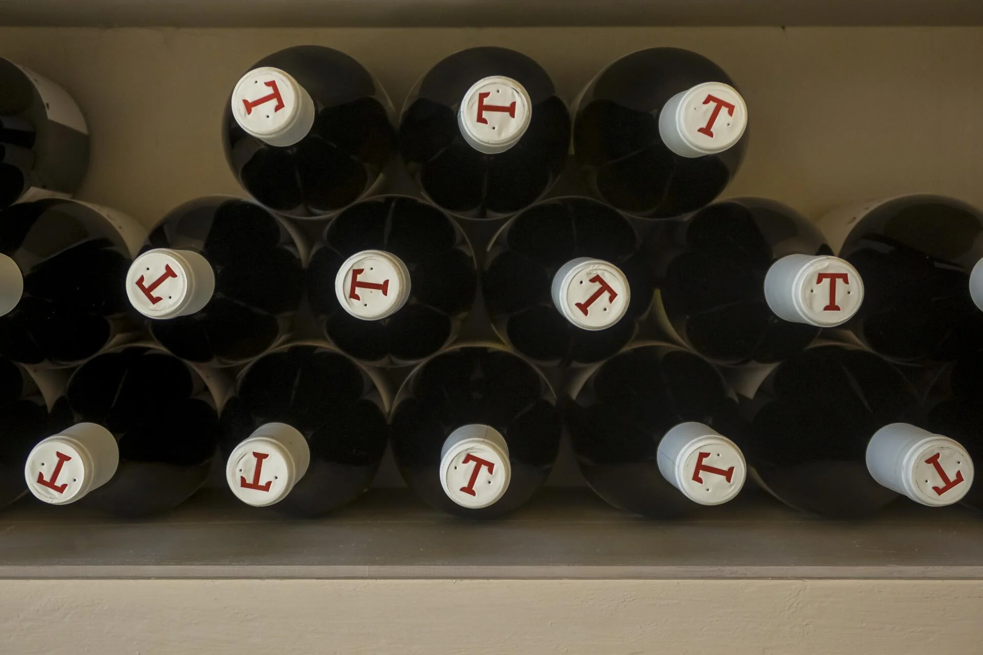 Taboadella – Um Dia na Quinta