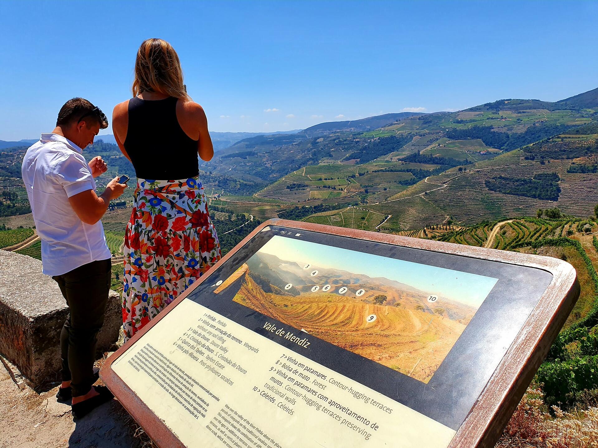 Tour ao Douro Histórico