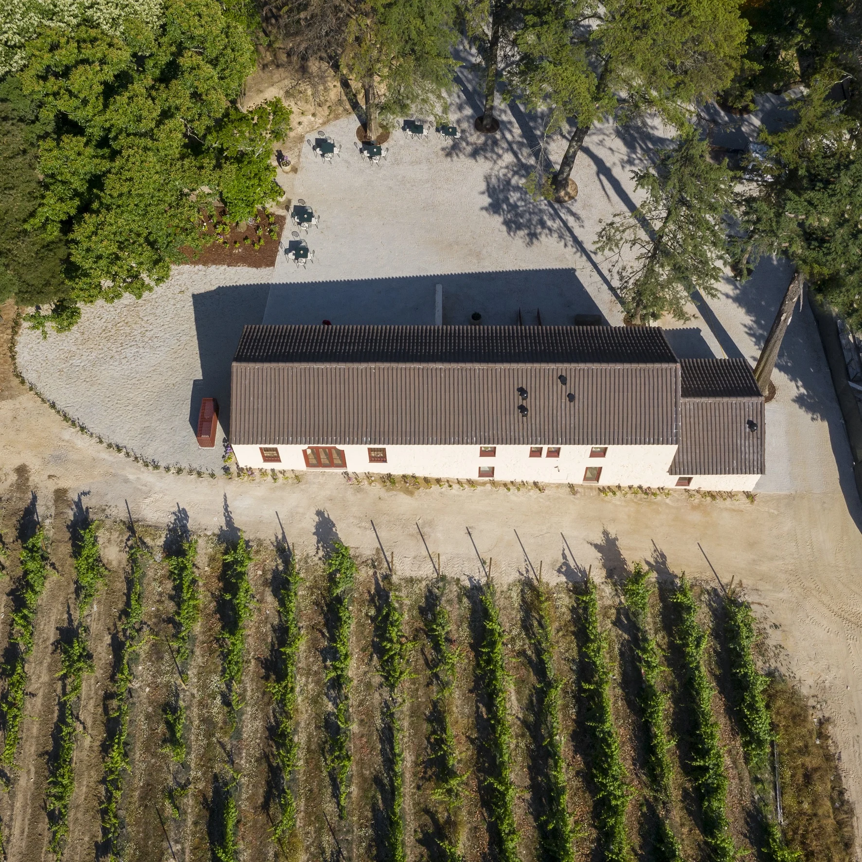 Taboadella – Merenda na Vindima