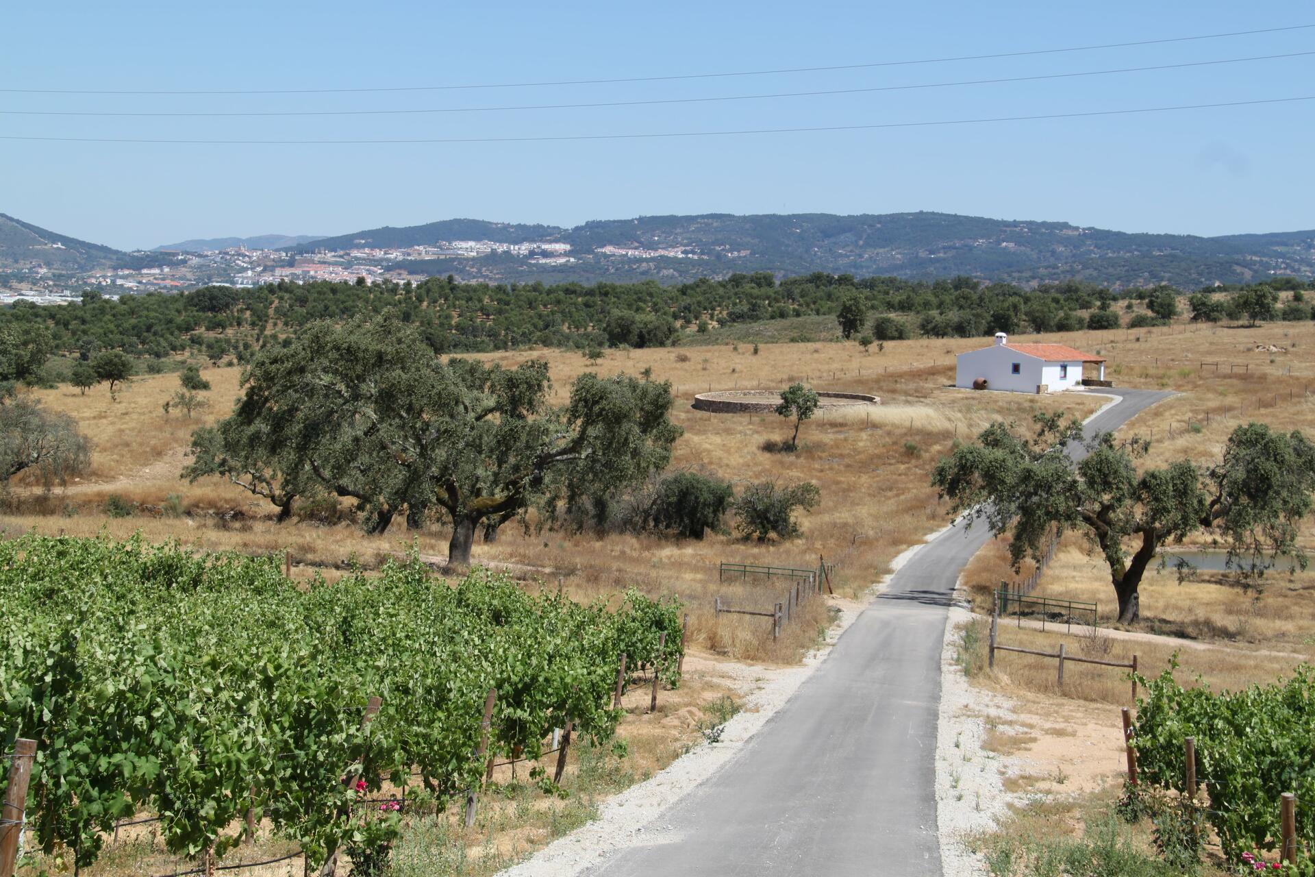 Casa da Urra – Visita & Prova de Vinhos