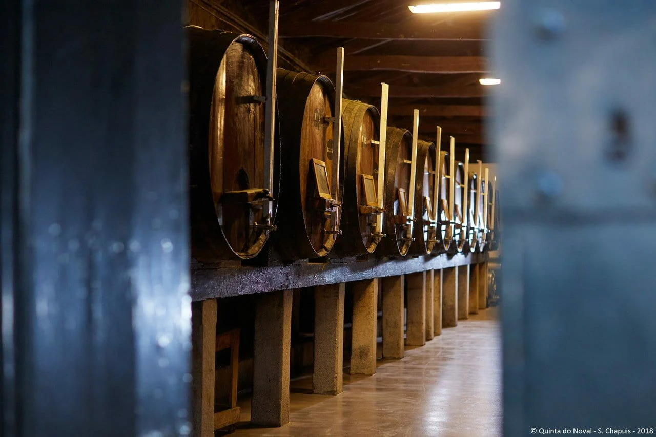 Património do Vinho do Porto