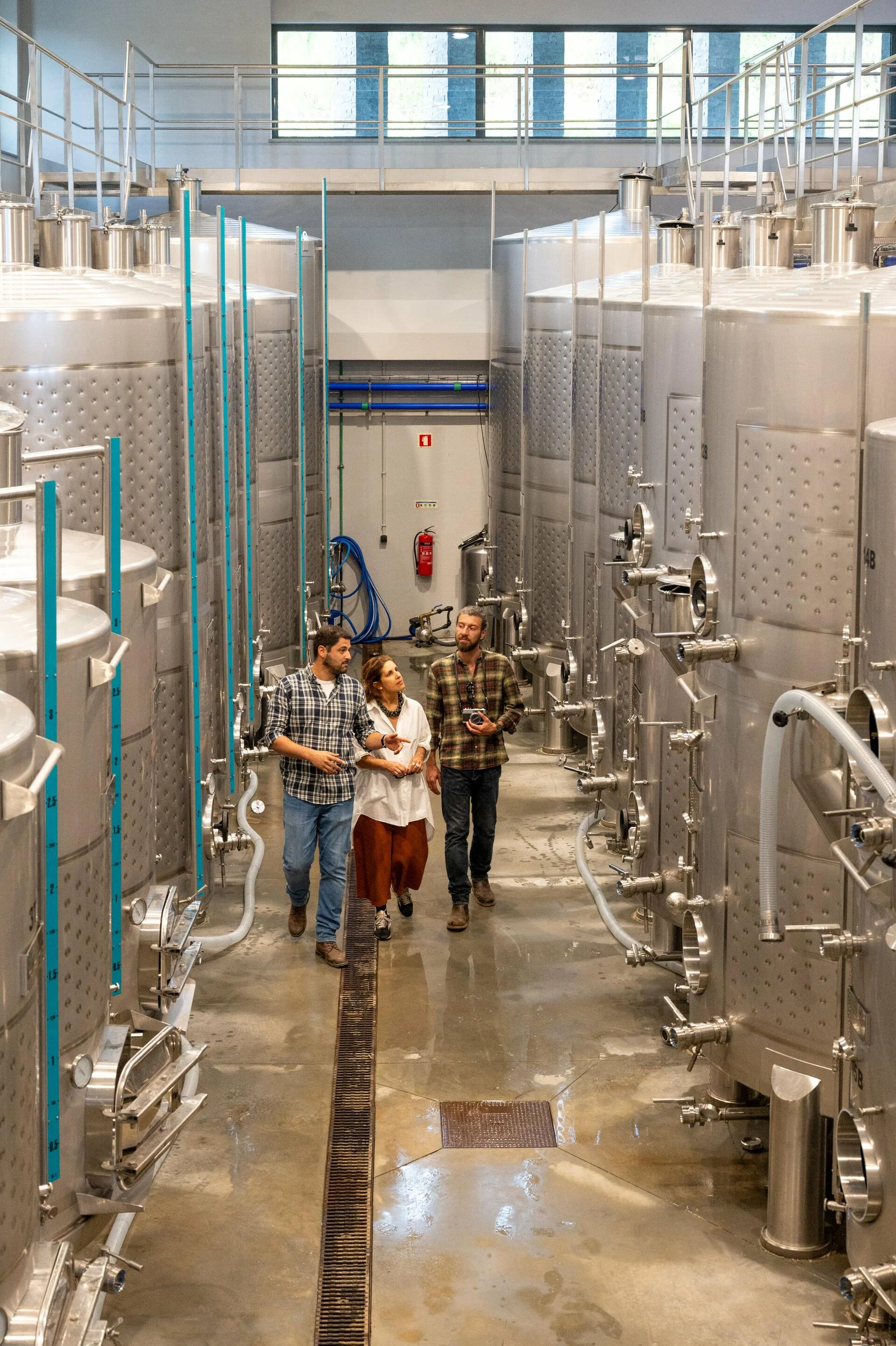 Paço do Curutelo – “Do Minho ao Douro”