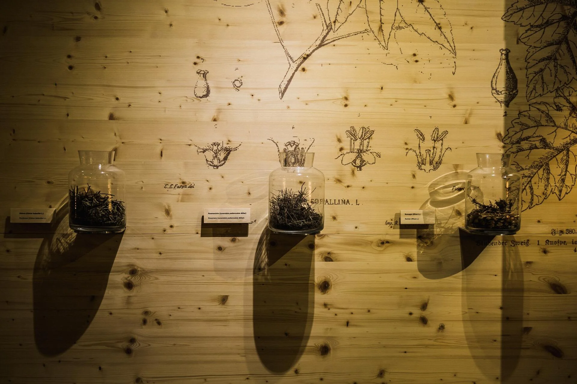 Museu do Douro – Visita & Prova Premium