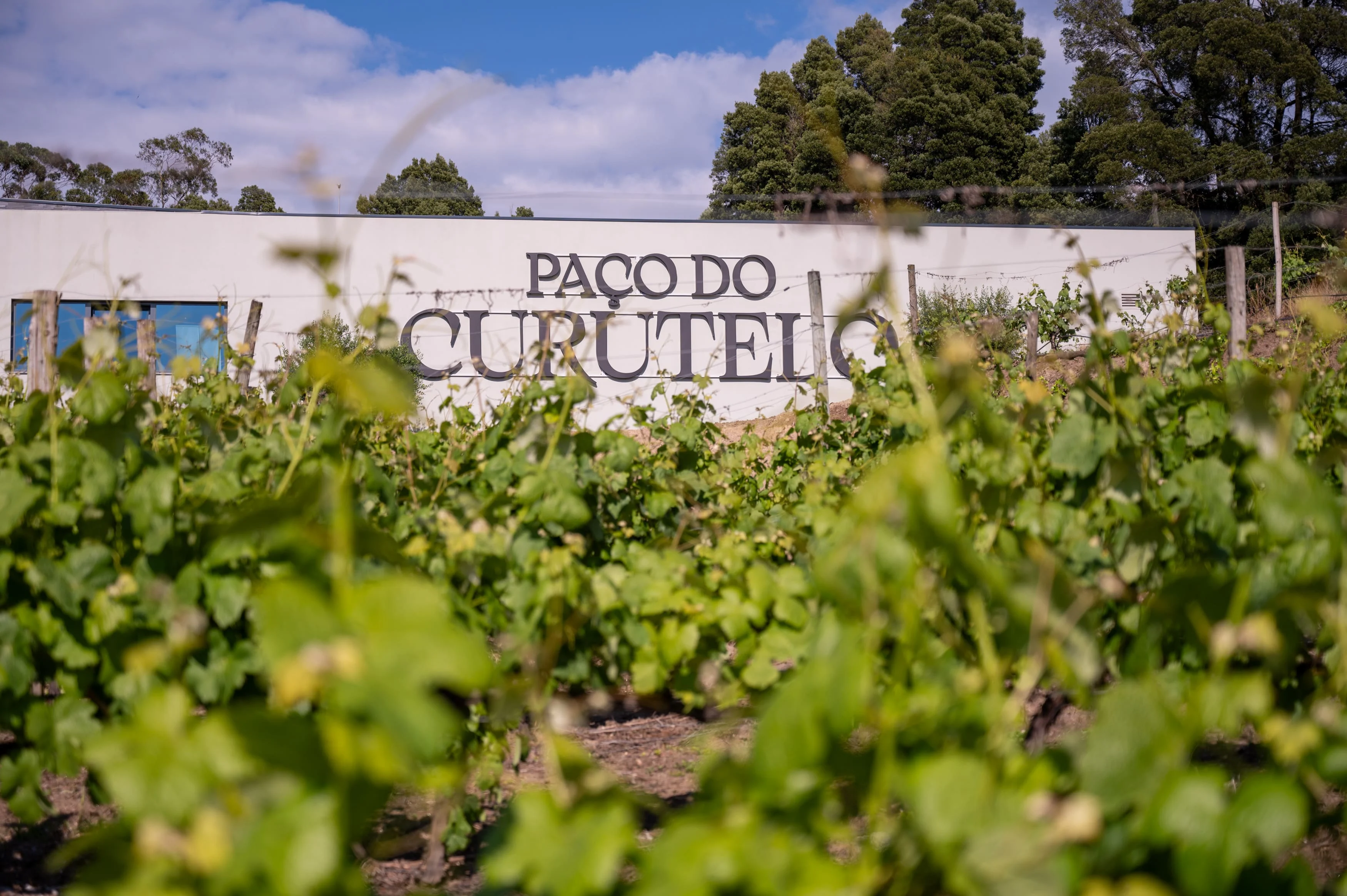 Paço do Curutelo – Visita & Prova “Premium”