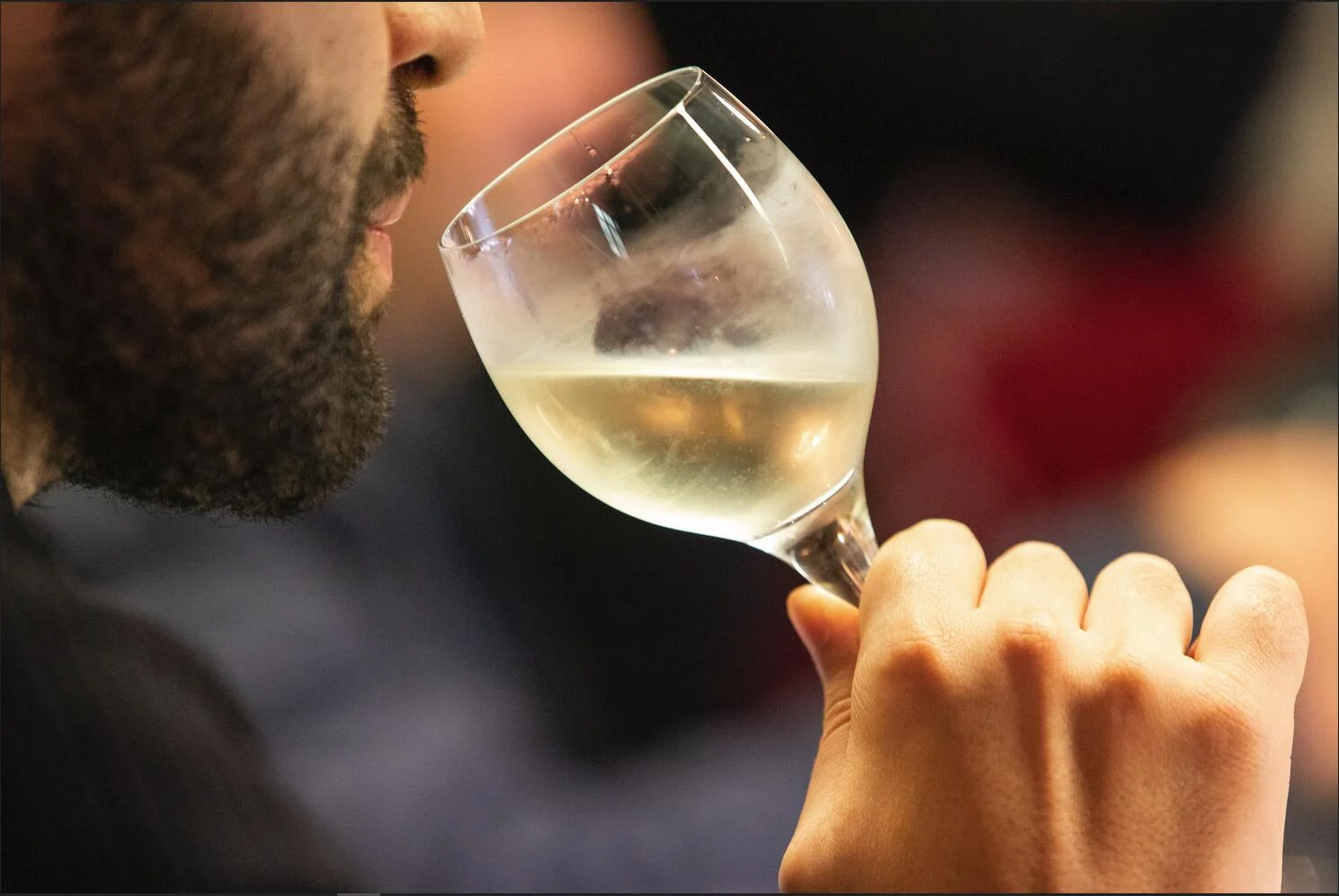 Casa da Tojeira – Picnic & Prova de Vinhos