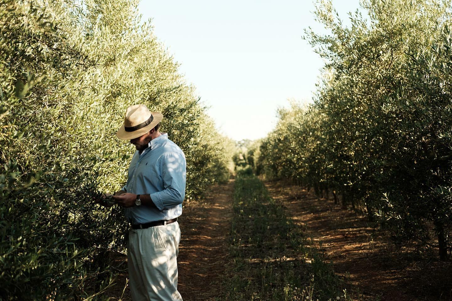 Casa de Santa Vitória – Prova Monocastas
