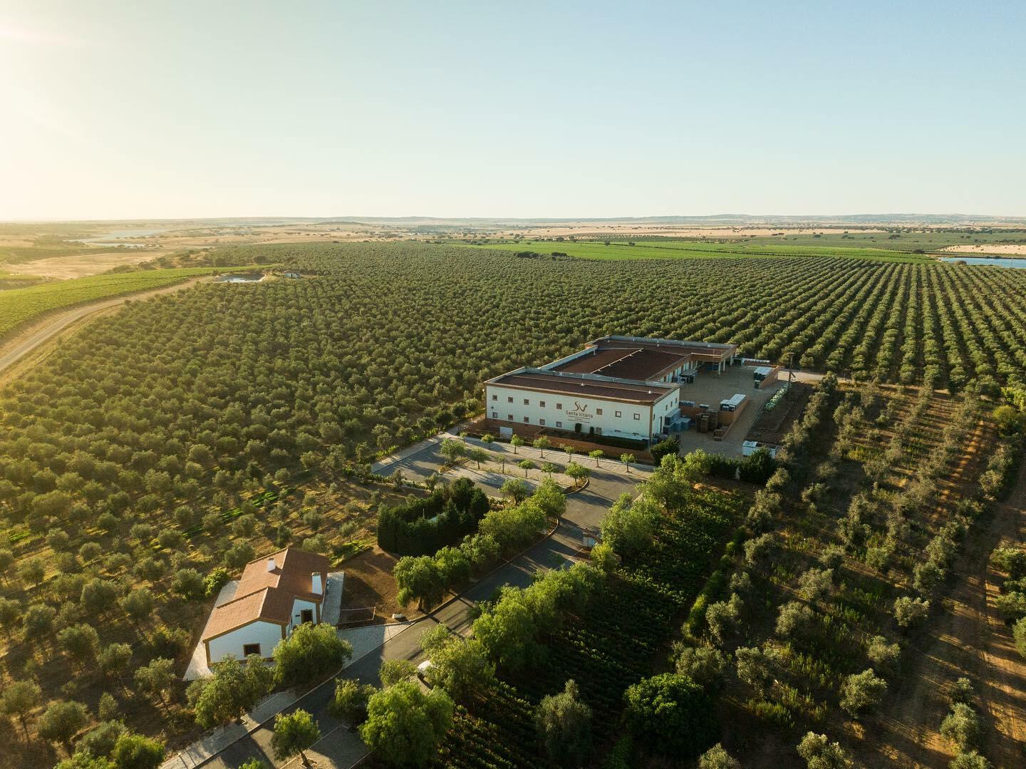 Casa de Santa Vitória – Prova Monocastas