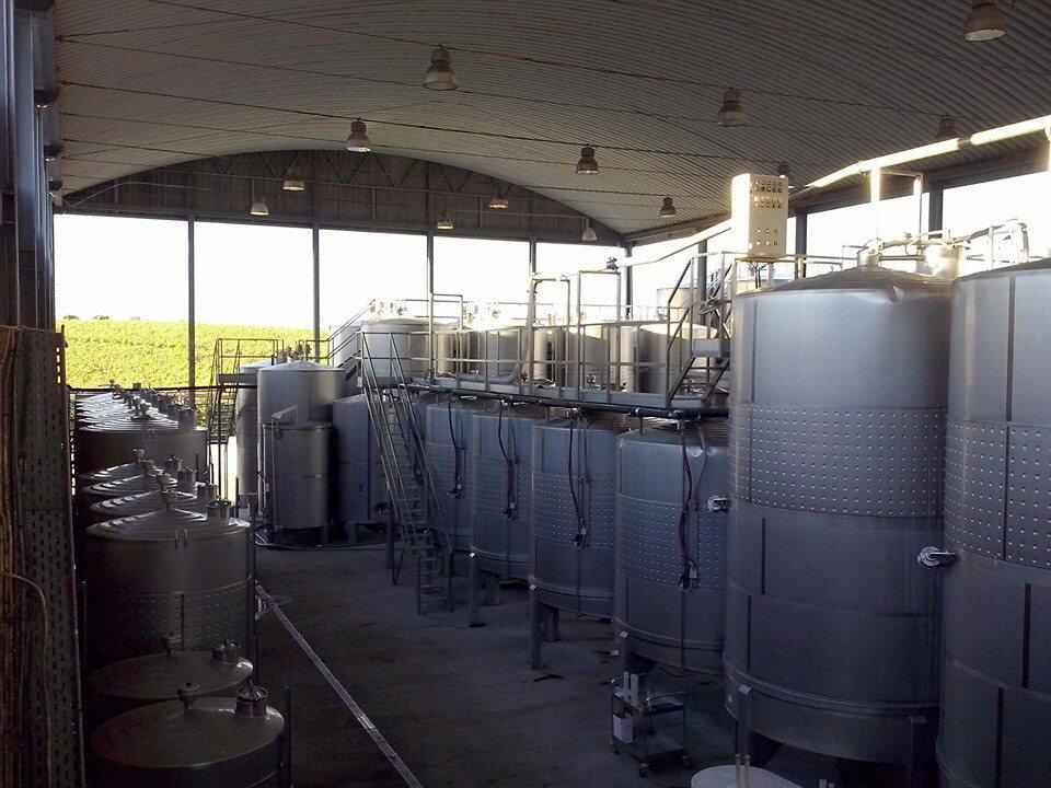 Ervideira – Vinha D’Ervideira