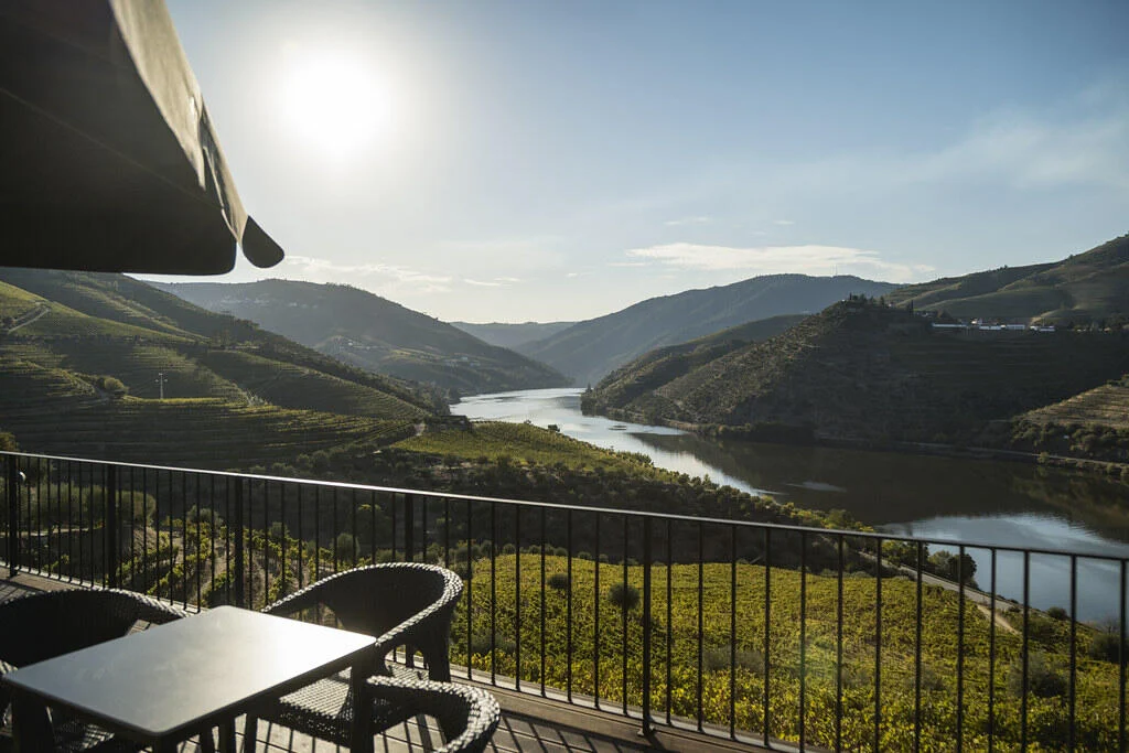 Quinta de São Luiz – Prova Premium DOC Douro