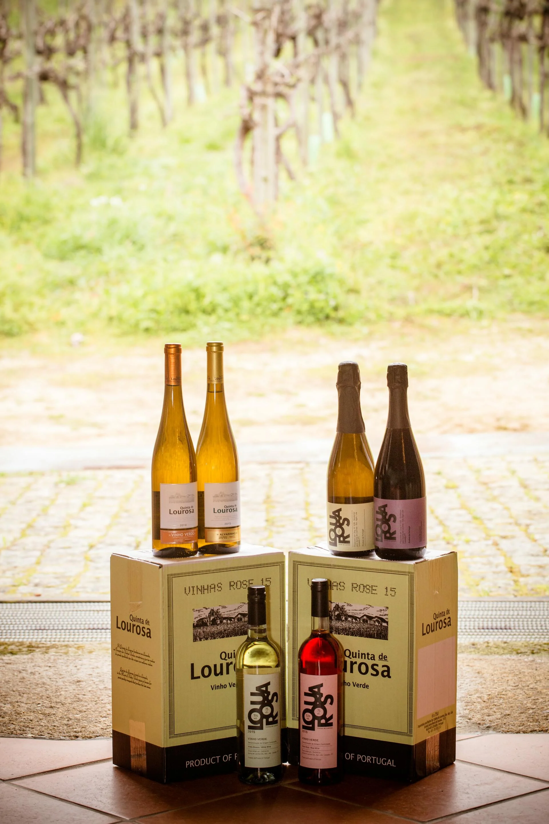 Quinta de Lourosa – Visita & Workshop