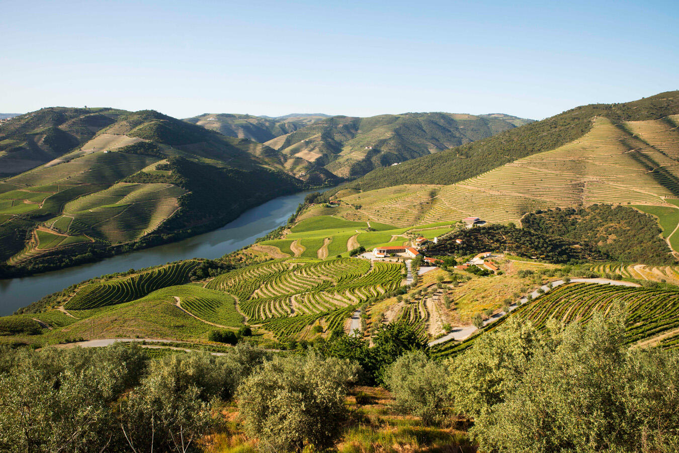 Quinta de Ventozelo – Especial Vinho do Porto