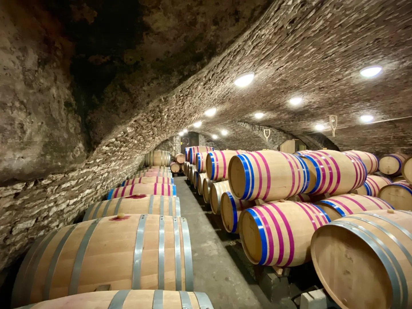 Wine Getaway and picnic