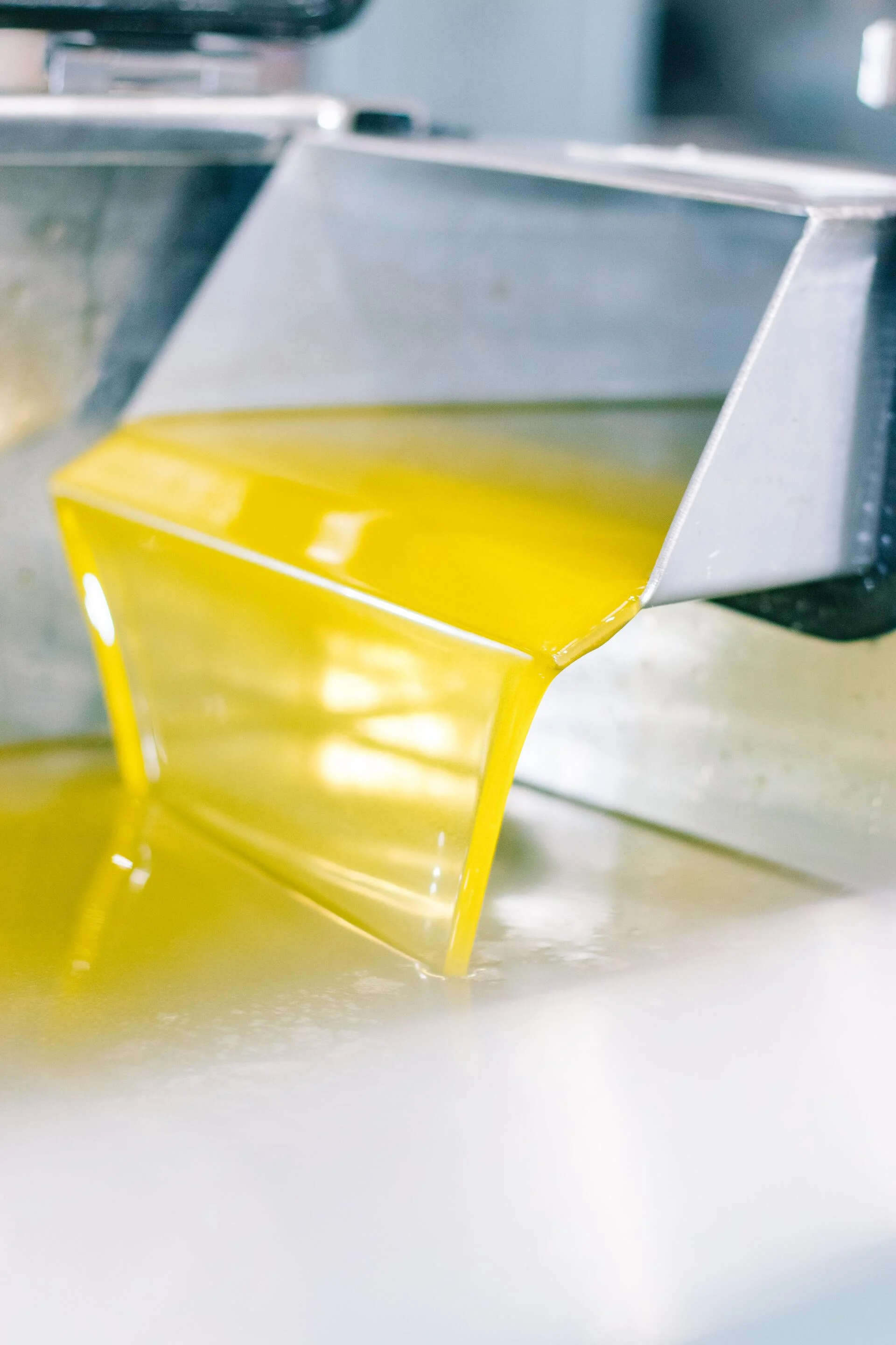 Olive Oil & Wine Tour Alentejo – Dia Inteiro