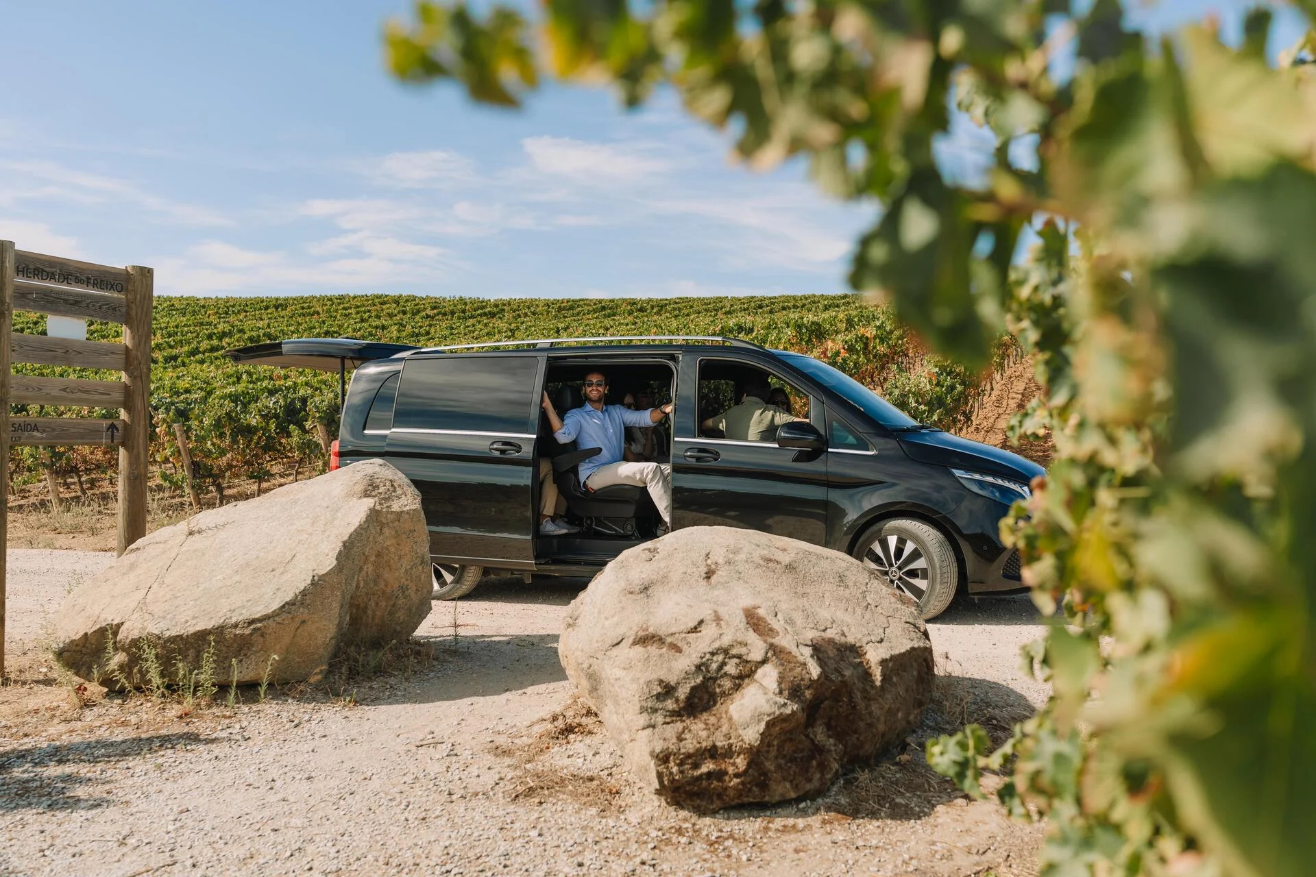 Olive Oil & Wine Tour Alentejo – Dia Inteiro