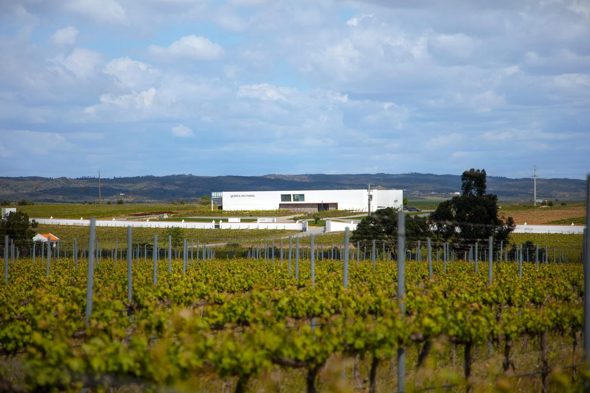 Quinta do Paral – Visita & Prova Clássica