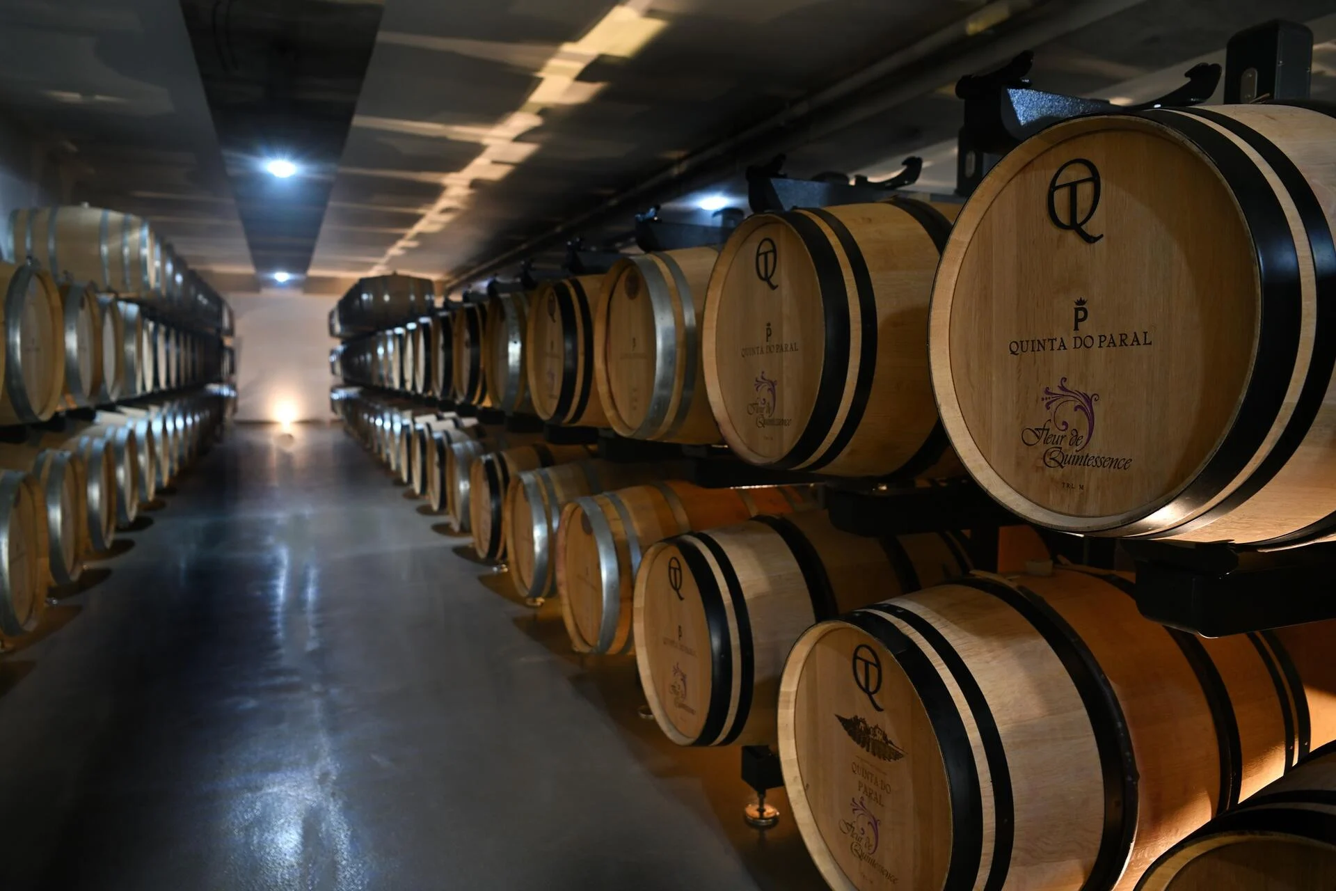 Quinta do Paral – Visita & Prova Clássica