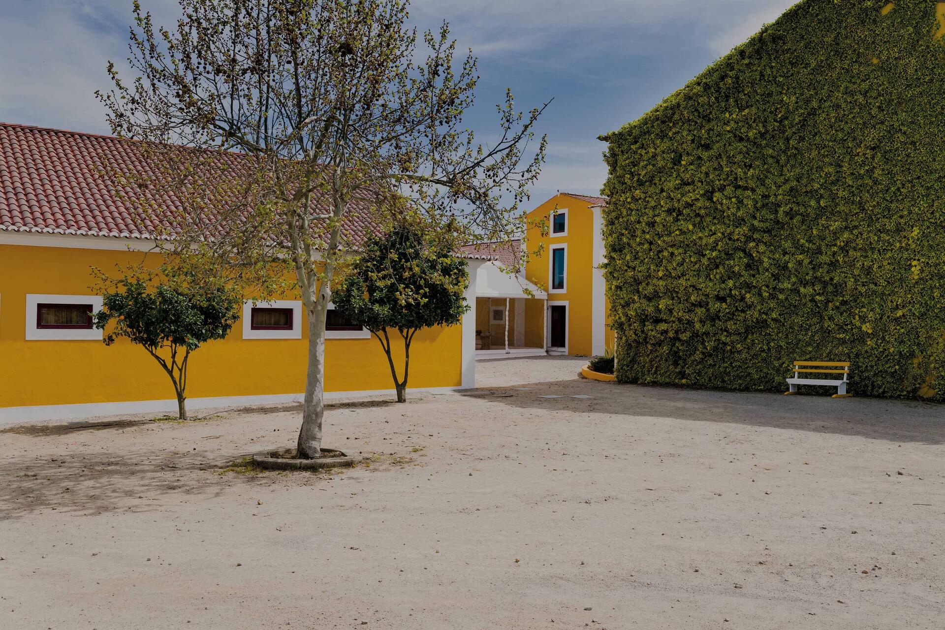 Quinta da Fonte Souto – Visita & Prova Clássica