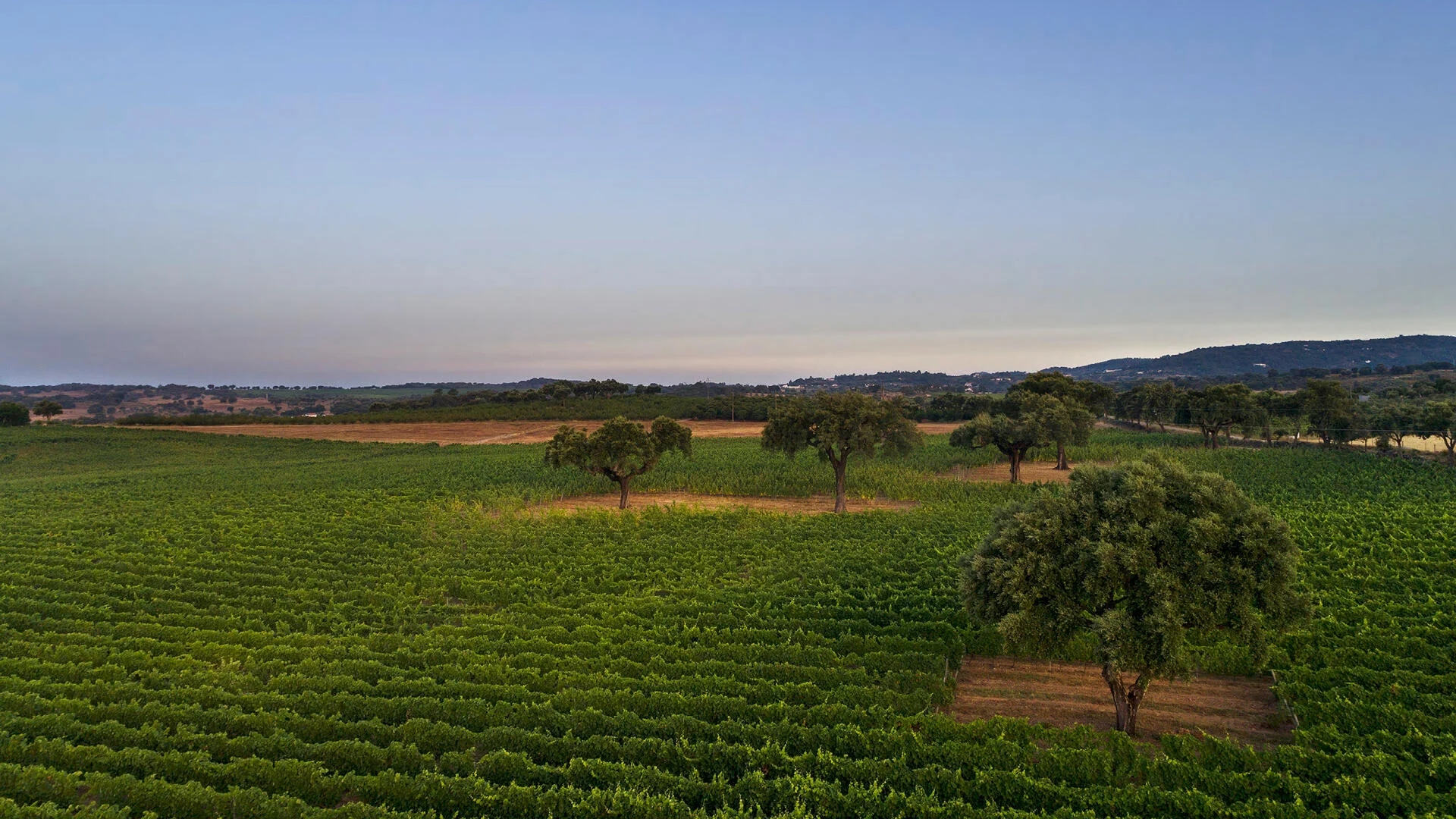 Quinta da Fonte Souto – Visita & Prova Clássica