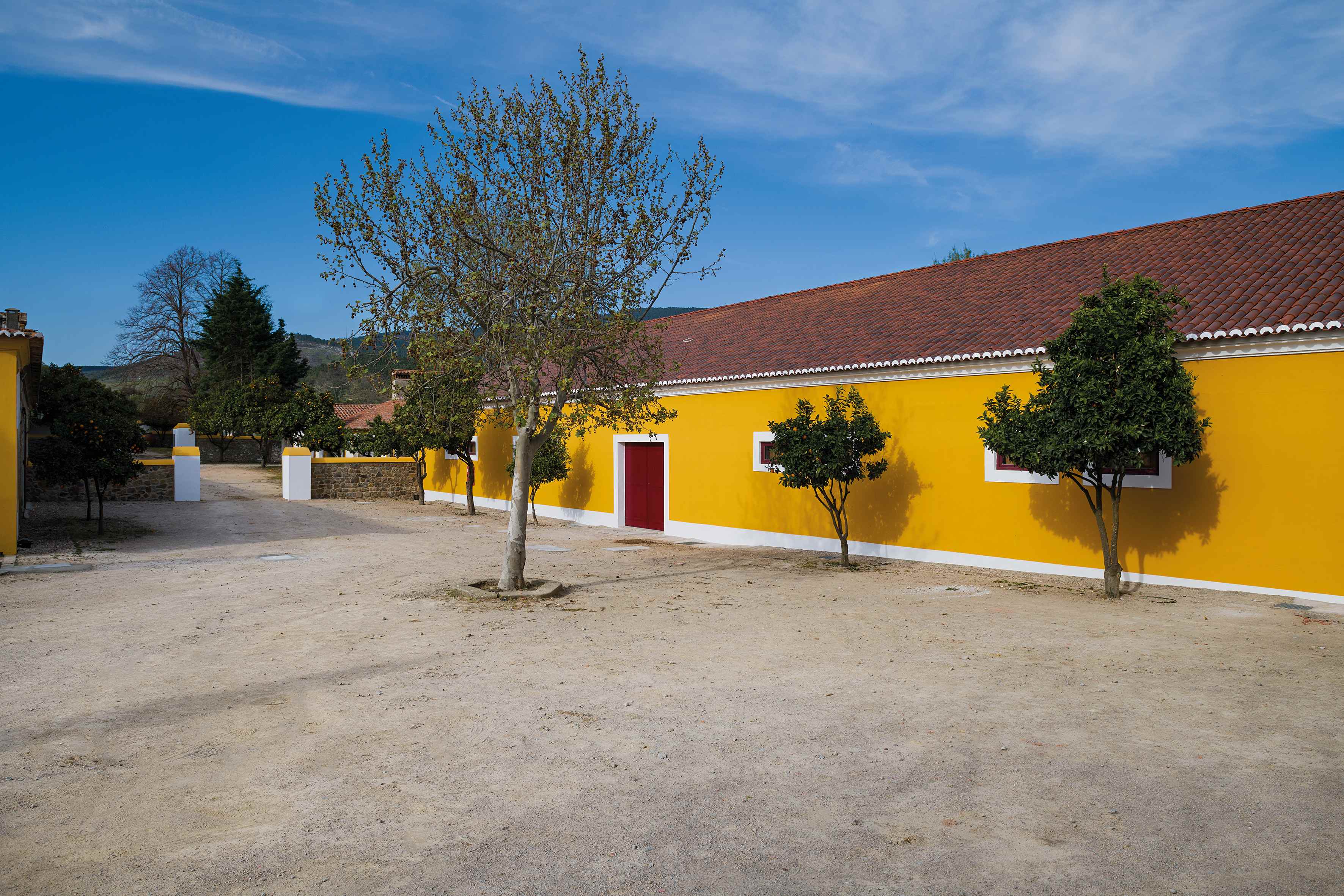 Quinta da Fonte Souto – Visita & Prova Clássica