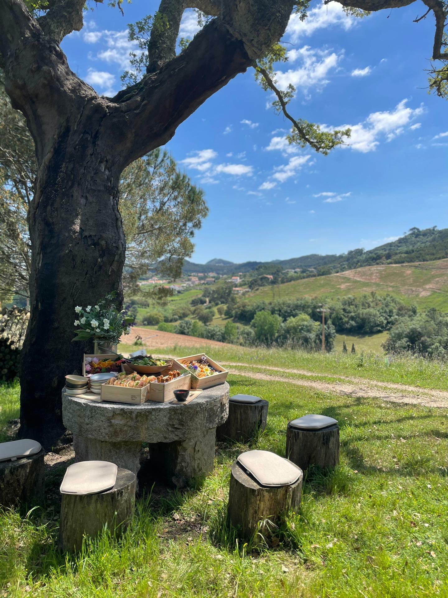 Quinta de Sant’Ana – Piquenique nas Vinhas