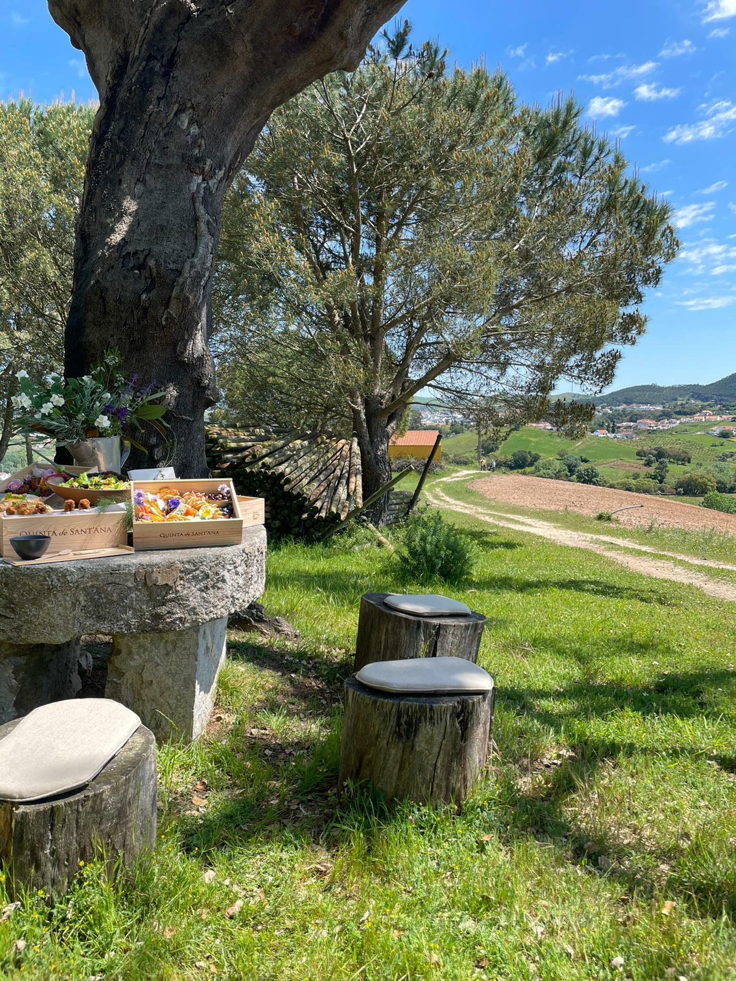 Quinta de Sant’Ana – Piquenique nas Vinhas