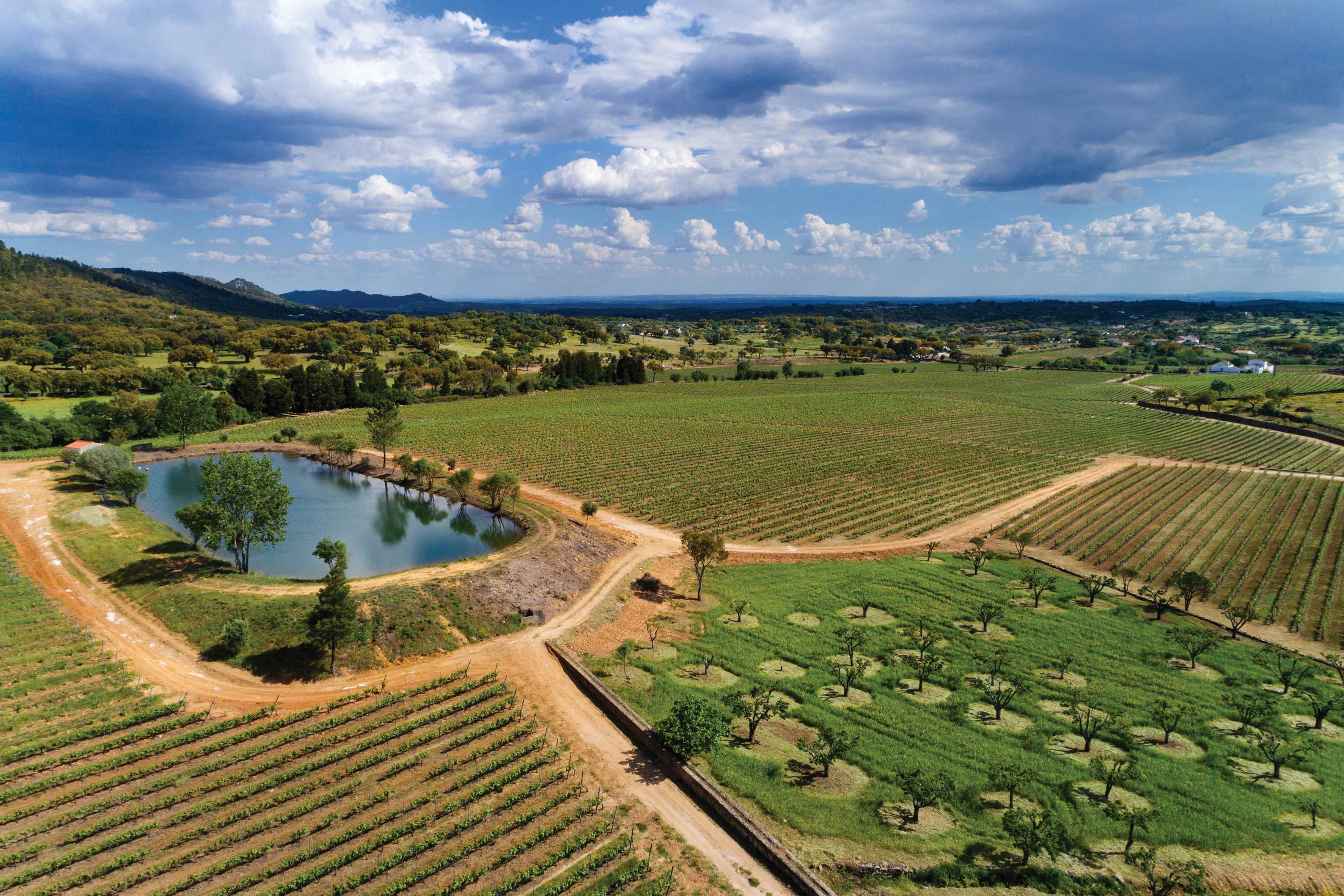 Quinta da Fonte Souto – Visita & Prova Premium