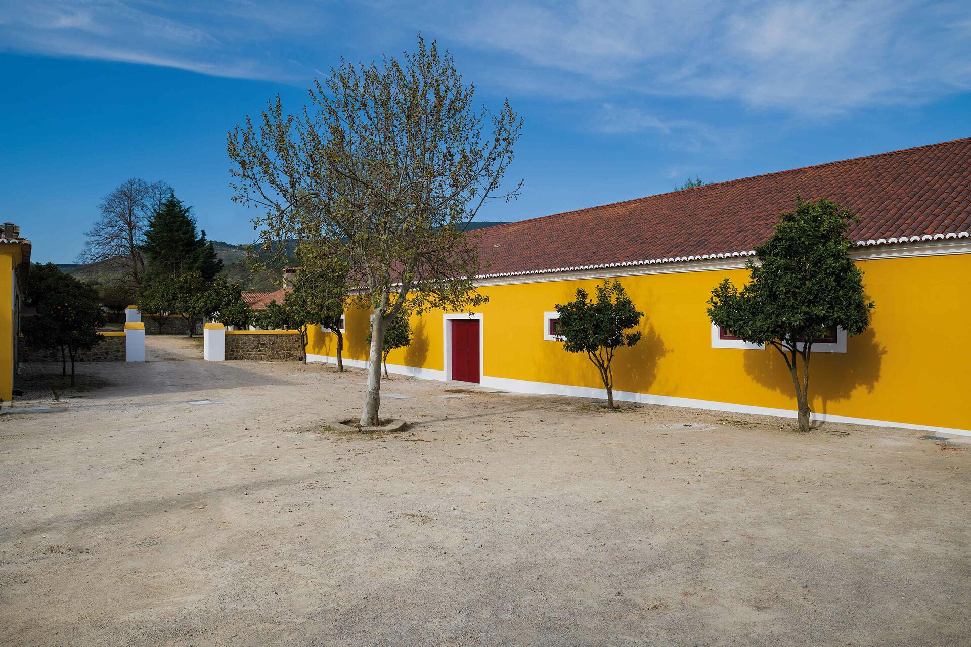 Quinta da Fonte Souto – Visita & Prova Premium