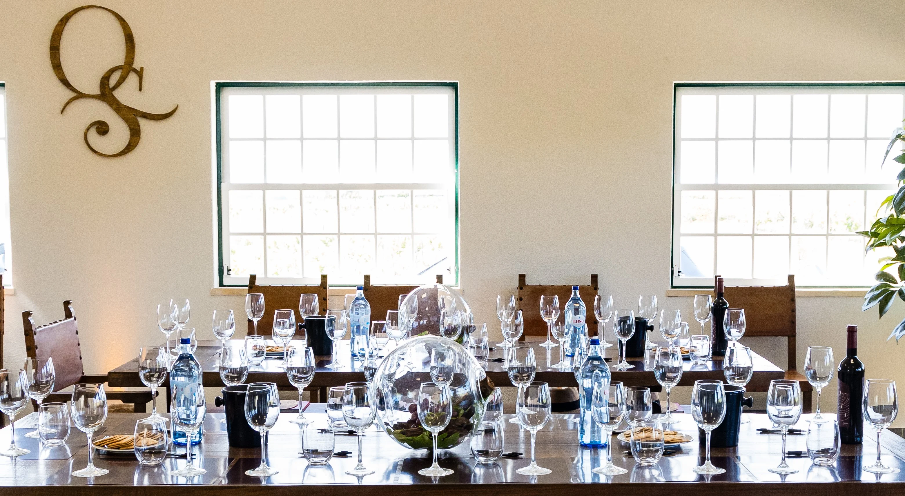 Quinta do Sampayo – Prova Premium