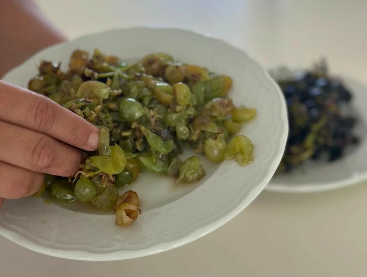 Quinta do Sampayo – Um Vinho Único, o Seu!