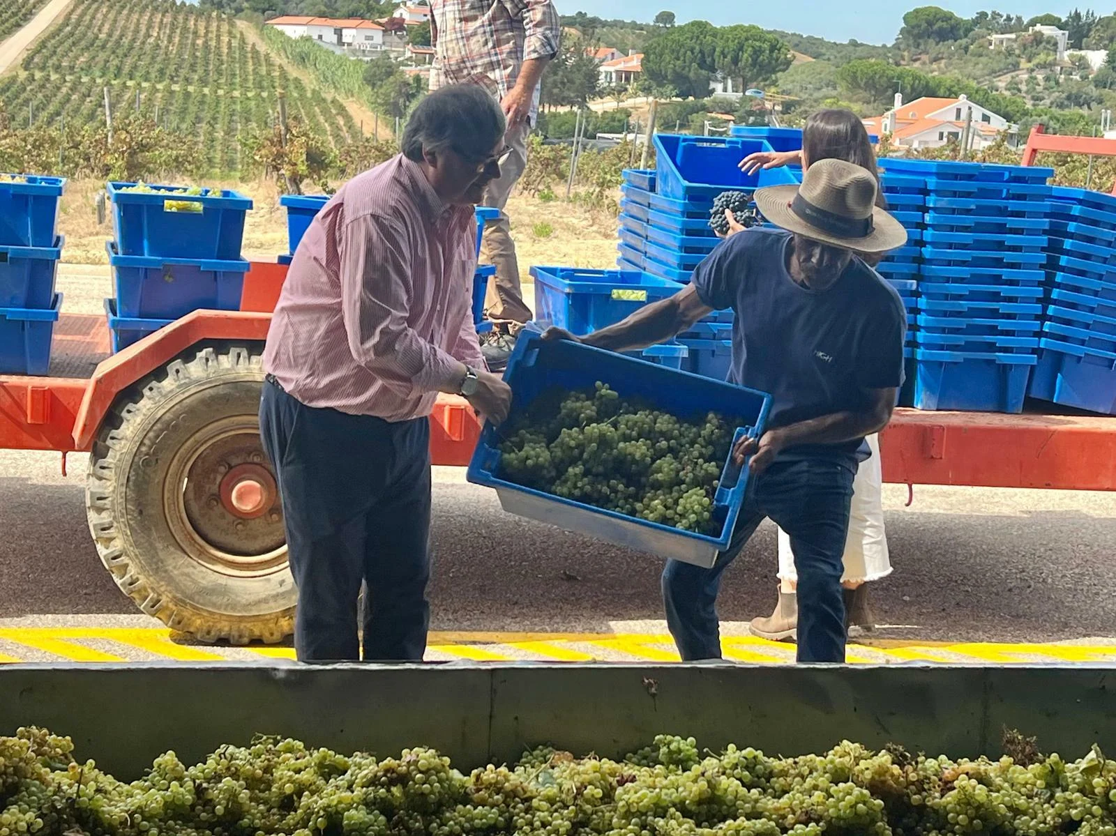 Quinta do Sampayo – Vindimar como um Vinhateiro