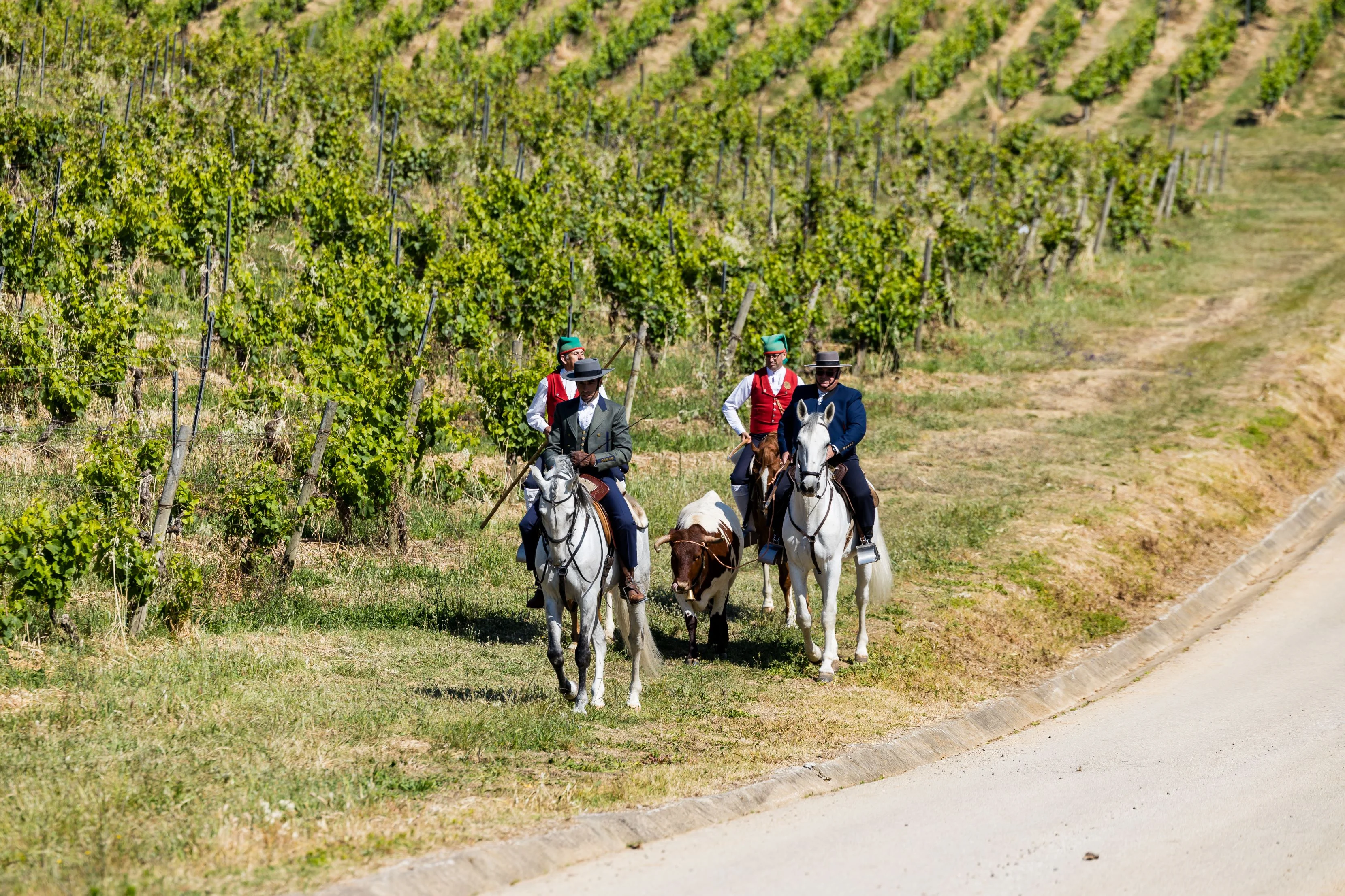 Quinta do Sampayo – Passeio a Cavalo