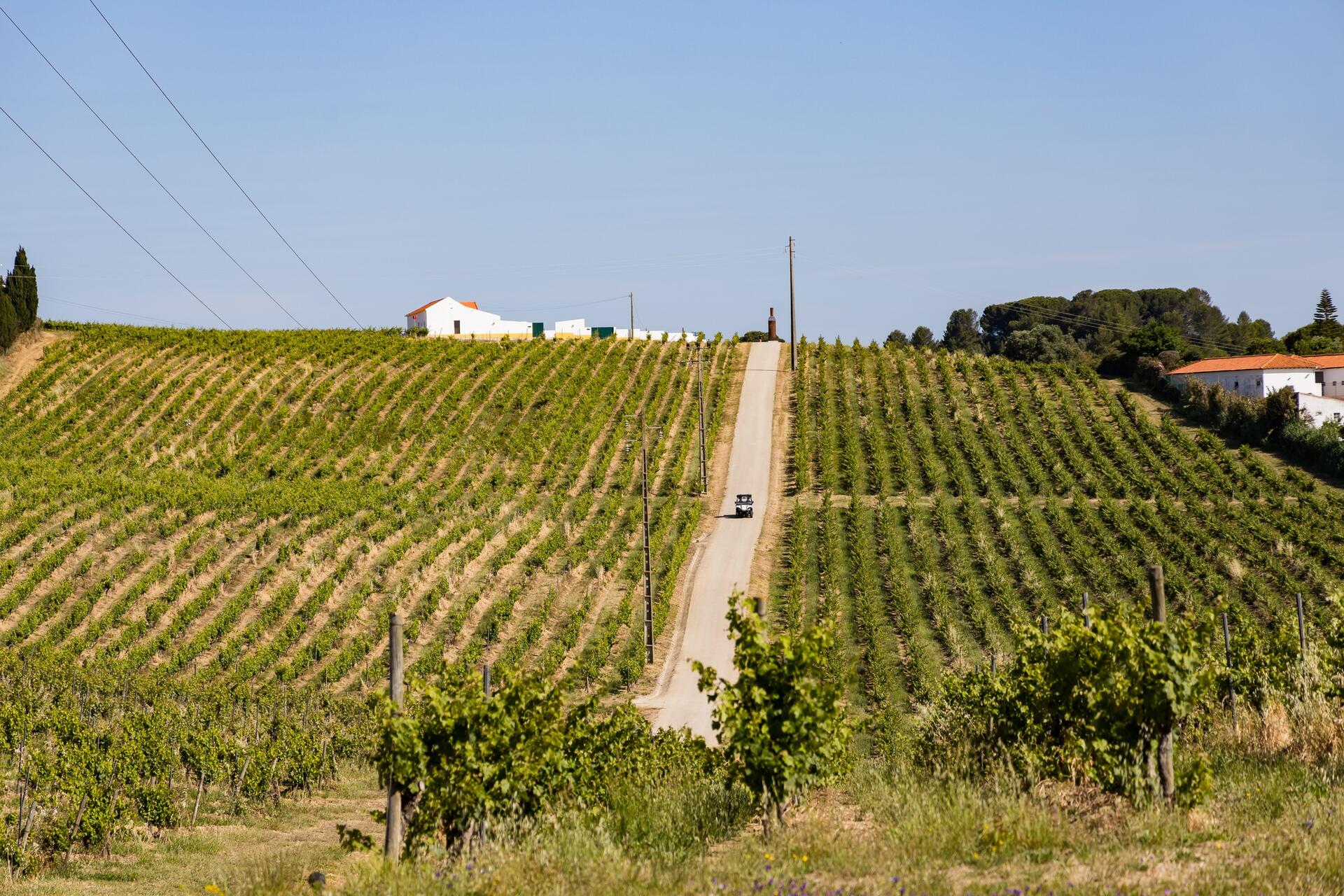 Quinta do Sampayo – Passeio a Cavalo