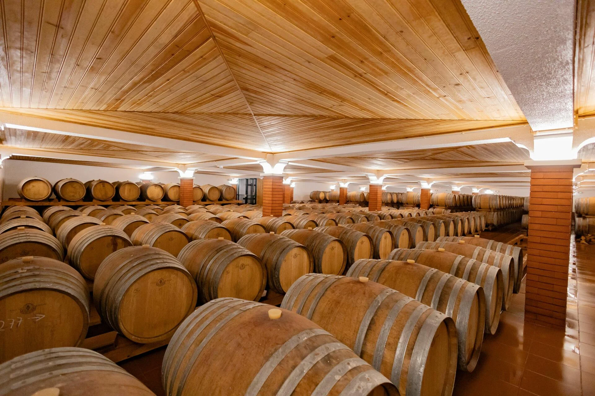 Quinta do Sampayo – Passeio a Cavalo