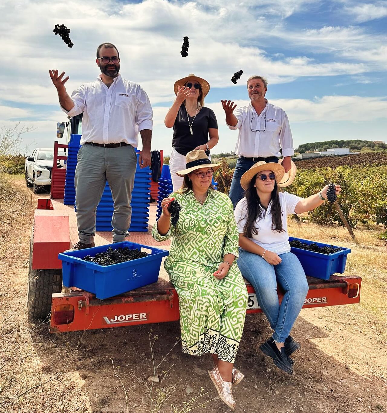 Quinta do Sampayo – Vindimar como um Vinhateiro