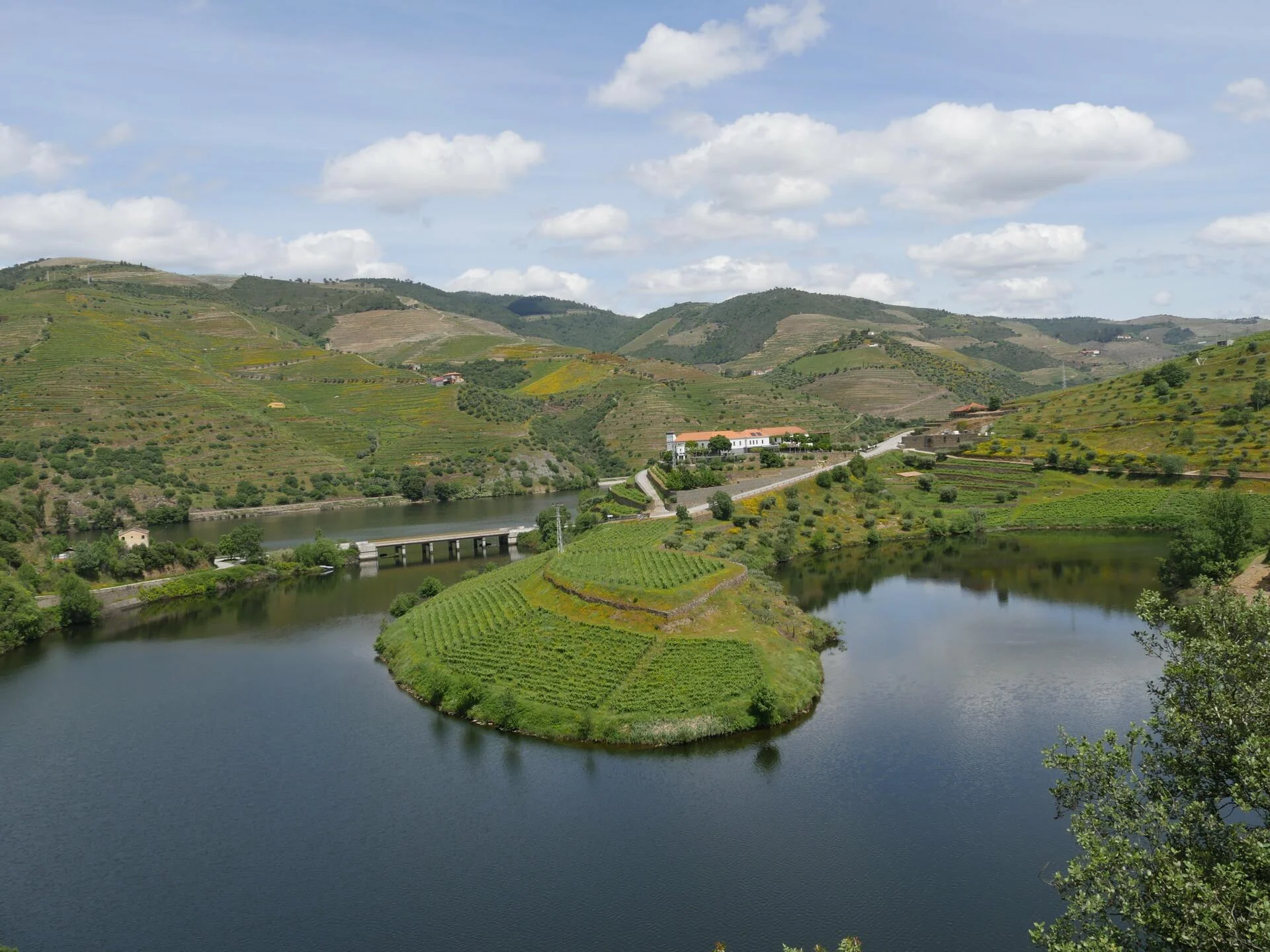 Quinta do Tedo – Visita, Prova & Almoço Vínico