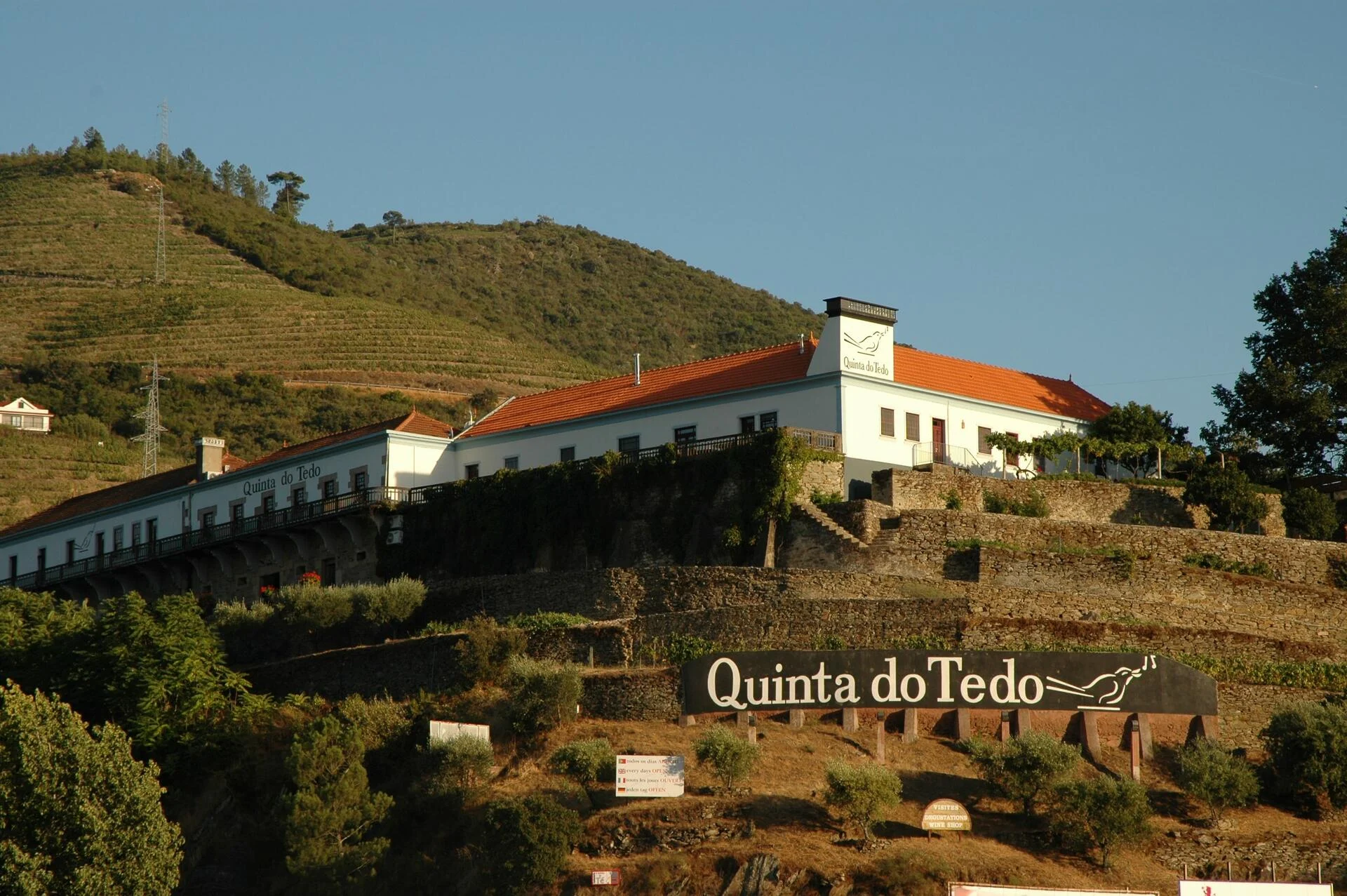 Quinta do Tedo – Visita, Prova & Almoço Vínico