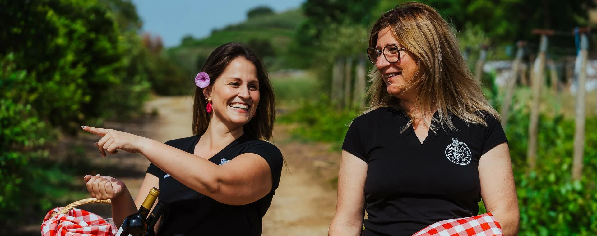 Quinta da Plansel – Piquenique & Vinho