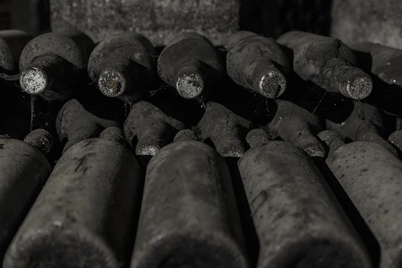 Caves Burmester – Visita Premium