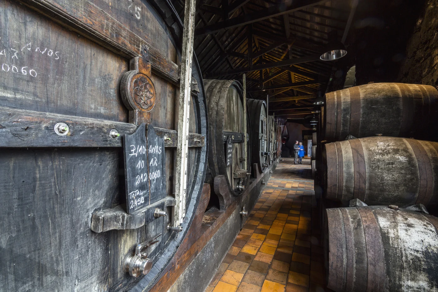 Caves Burmester – Visita Premium