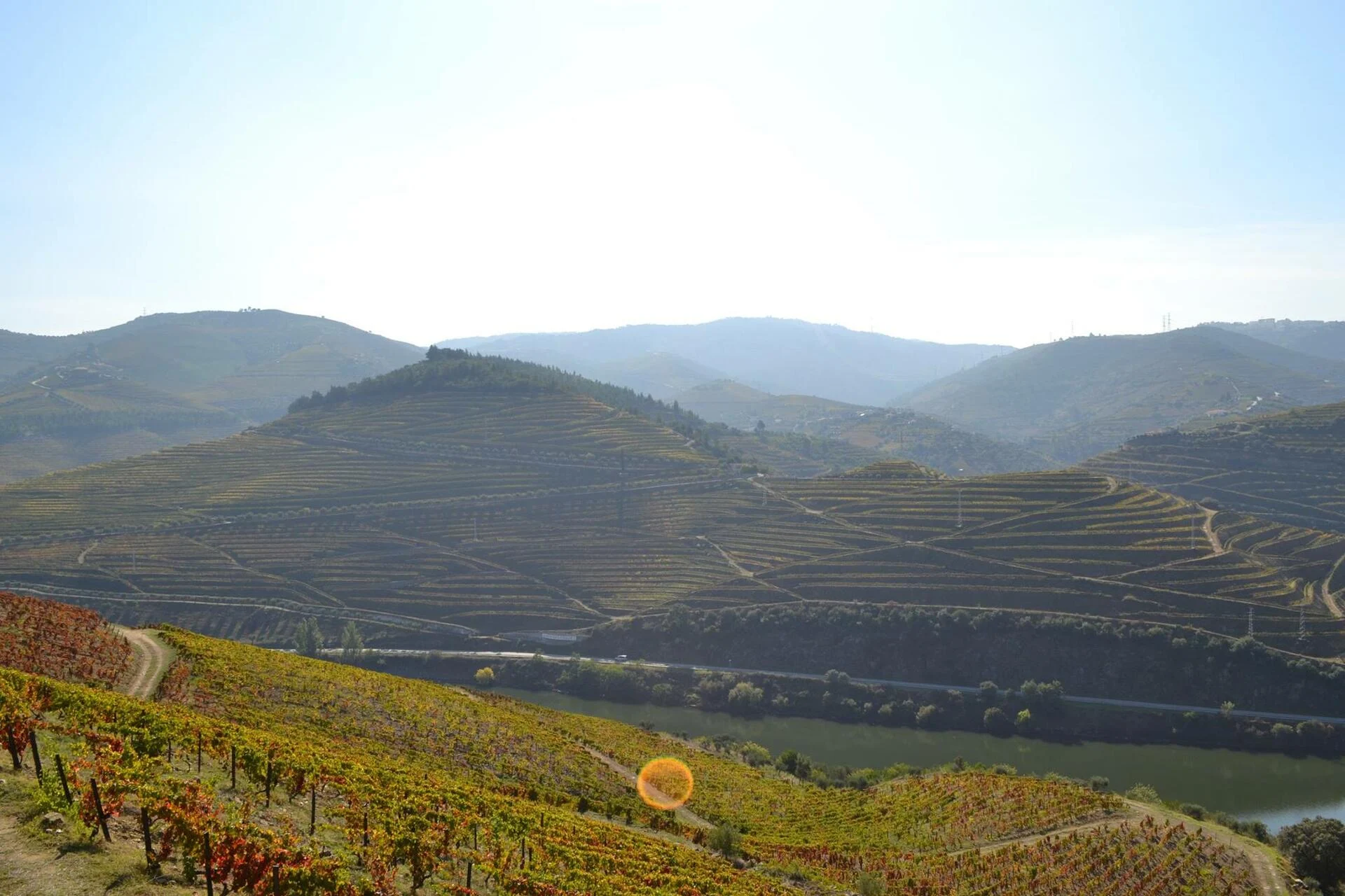 Douro Valley 4×4 Private Tour