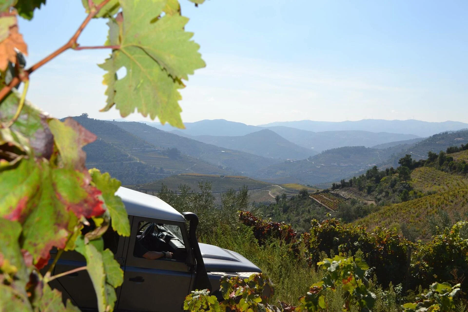 Douro Valley 4×4 Private Tour
