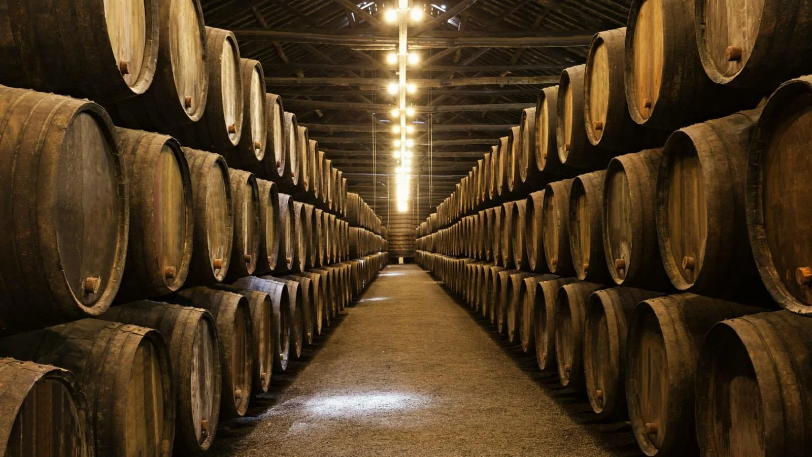 Douro Valley 4×4 Private Tour