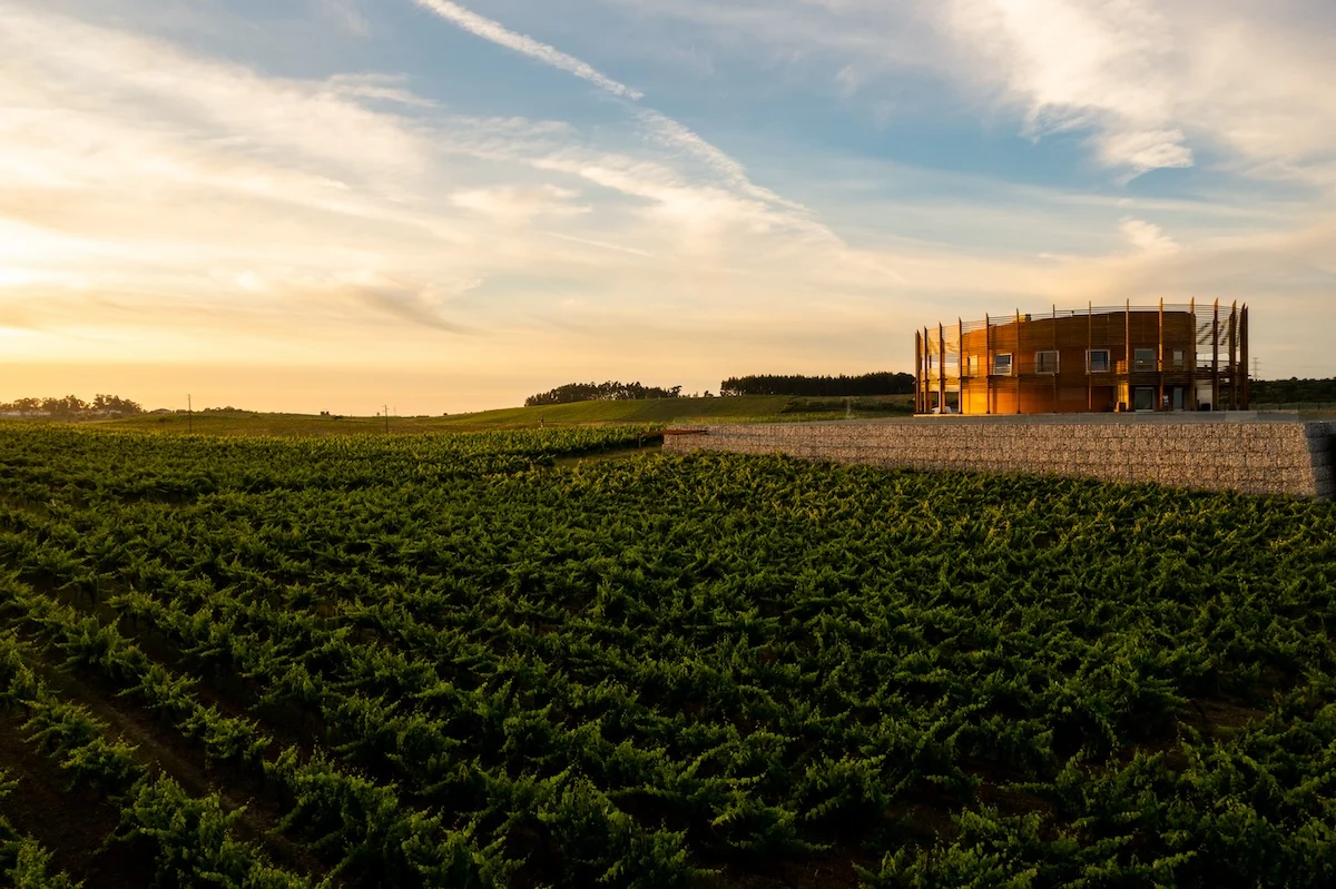 Quinta do Encontro – Visita & Prova Tradition