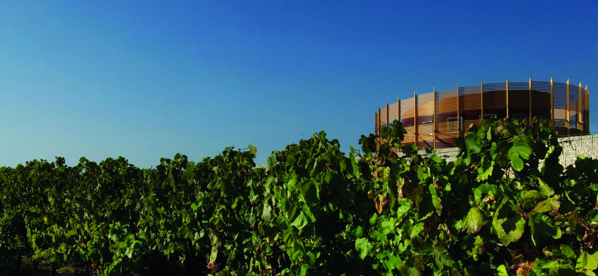 Quinta do Encontro – Visita & Prova Tradition