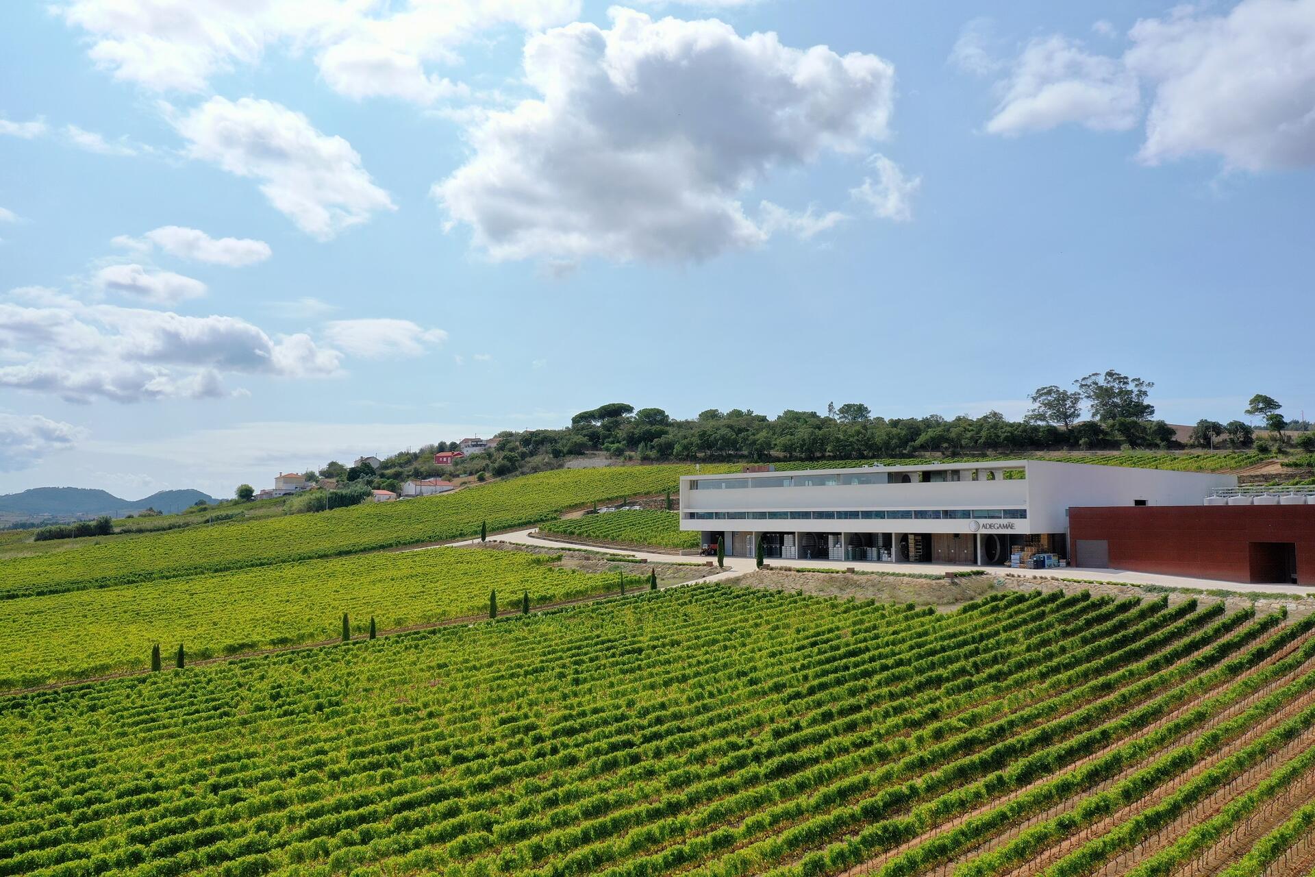 Adegamãe – Prova Gastronómica Petiscos