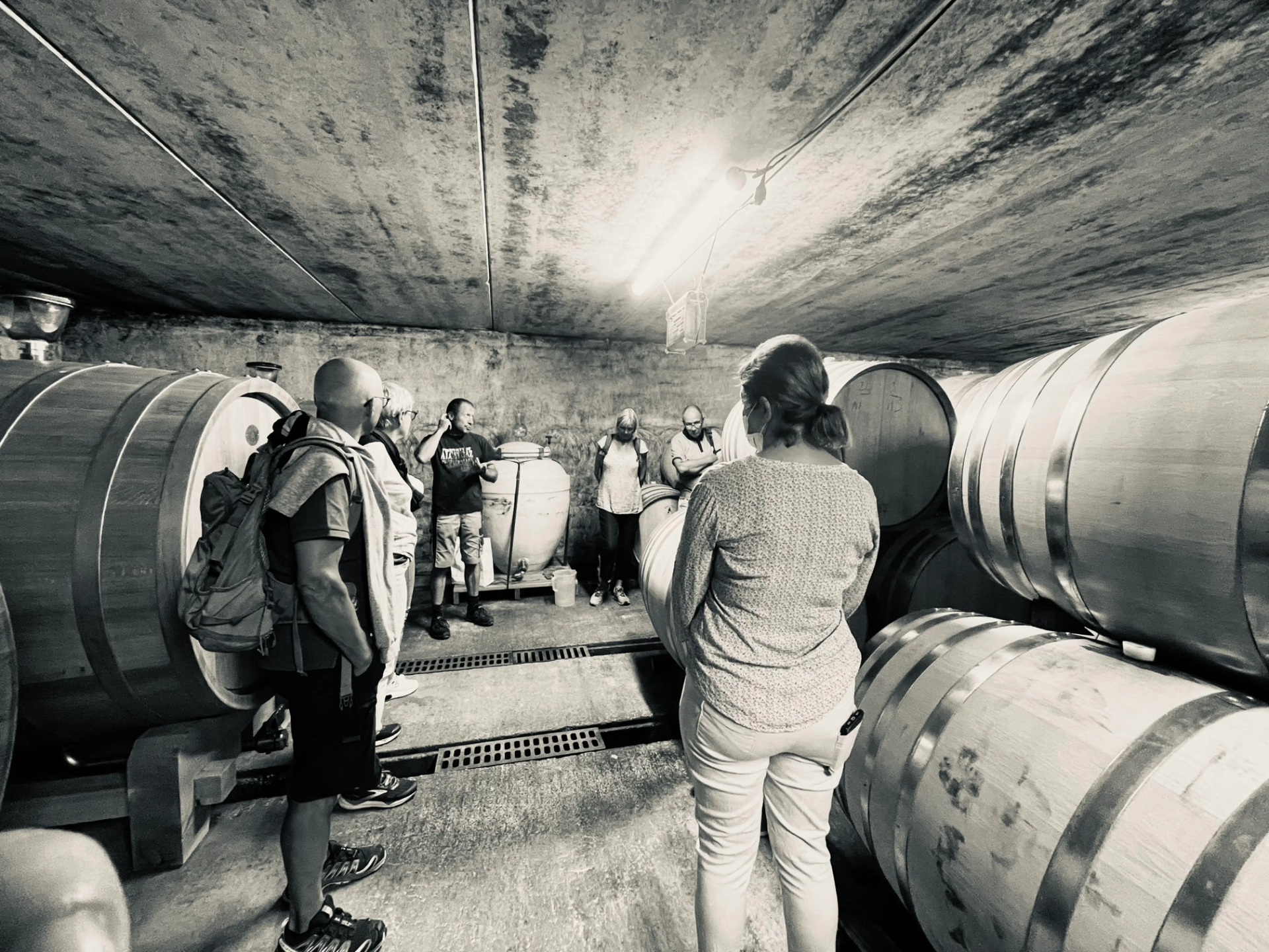 Tasting Tour – The Essentials