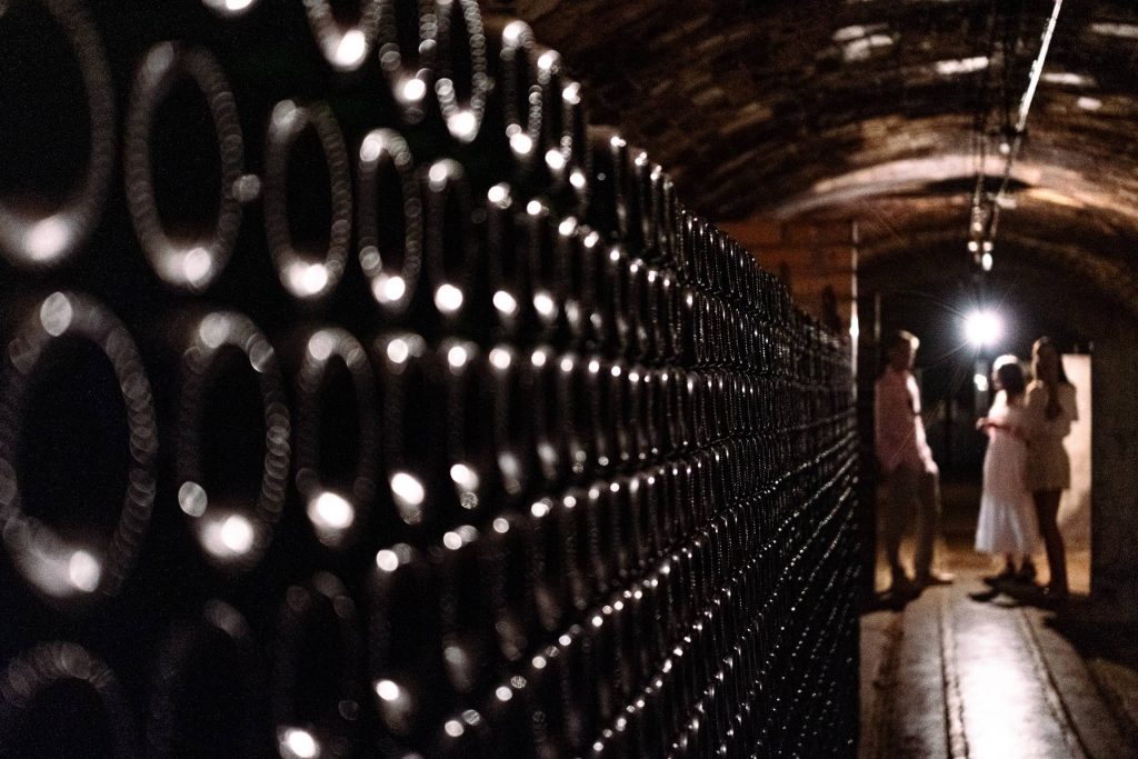 Visit and wine tasting at Finca Nadal