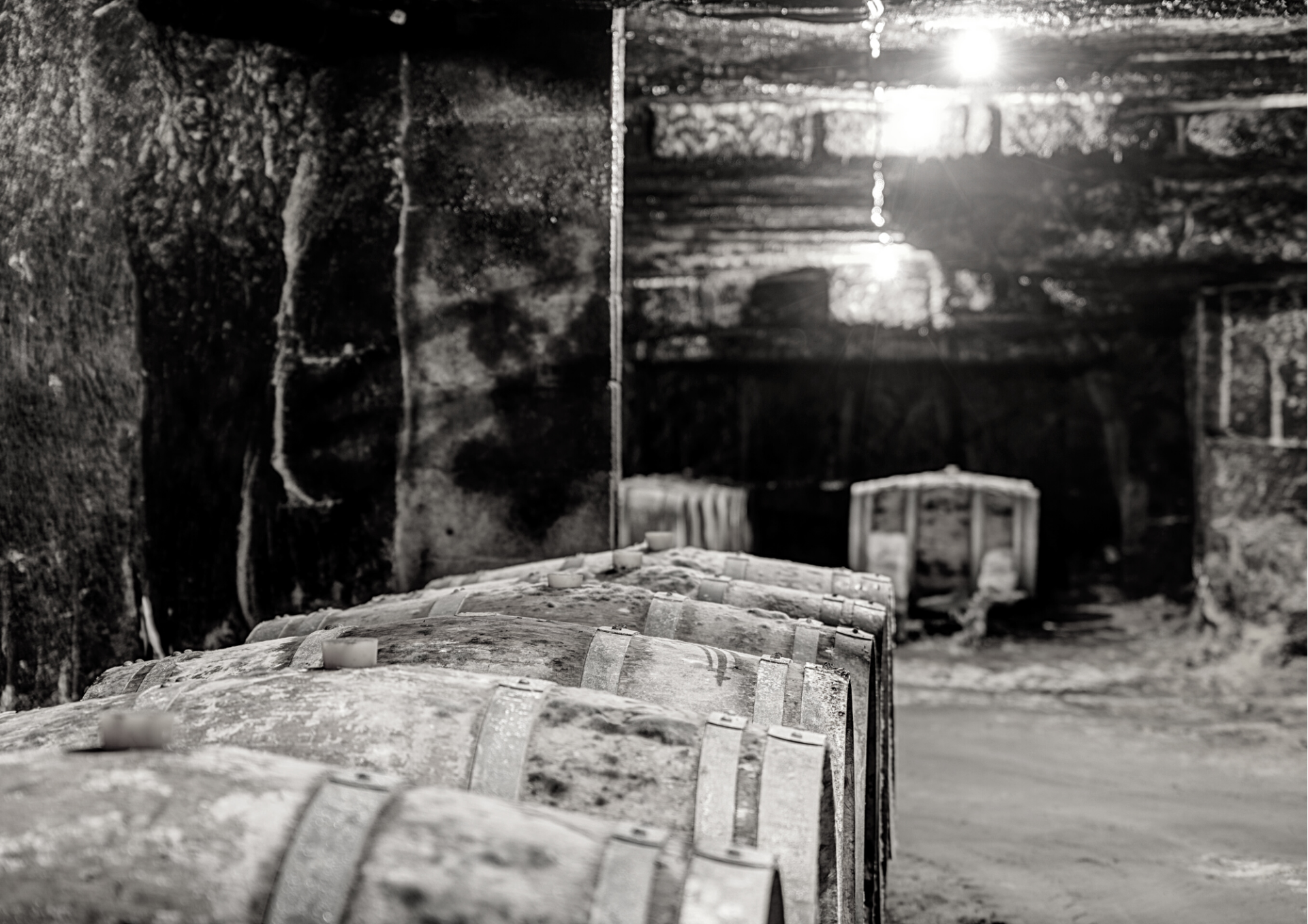 Escape Game in the underground cellar