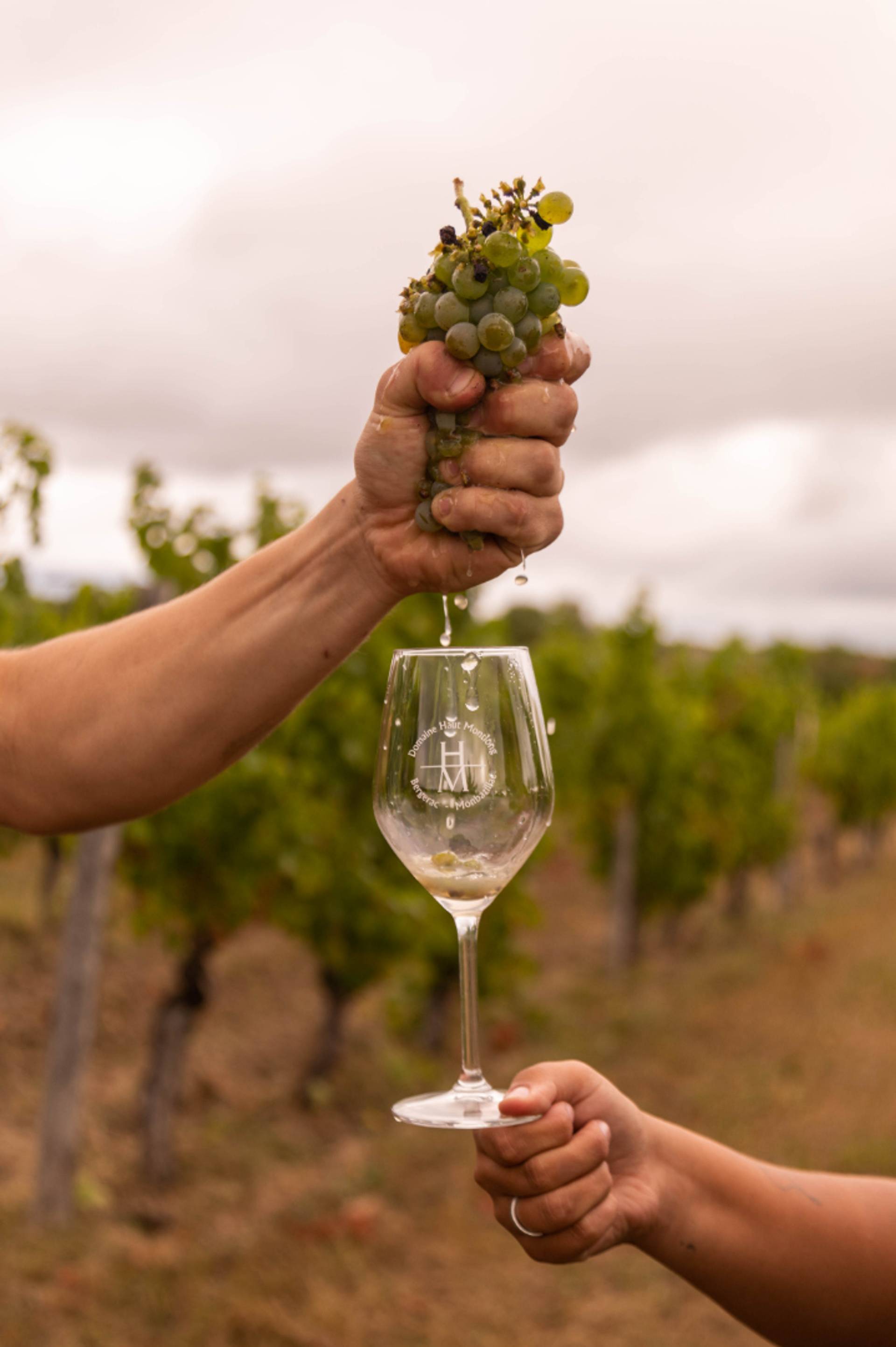 Blind tasting – A sensory experience